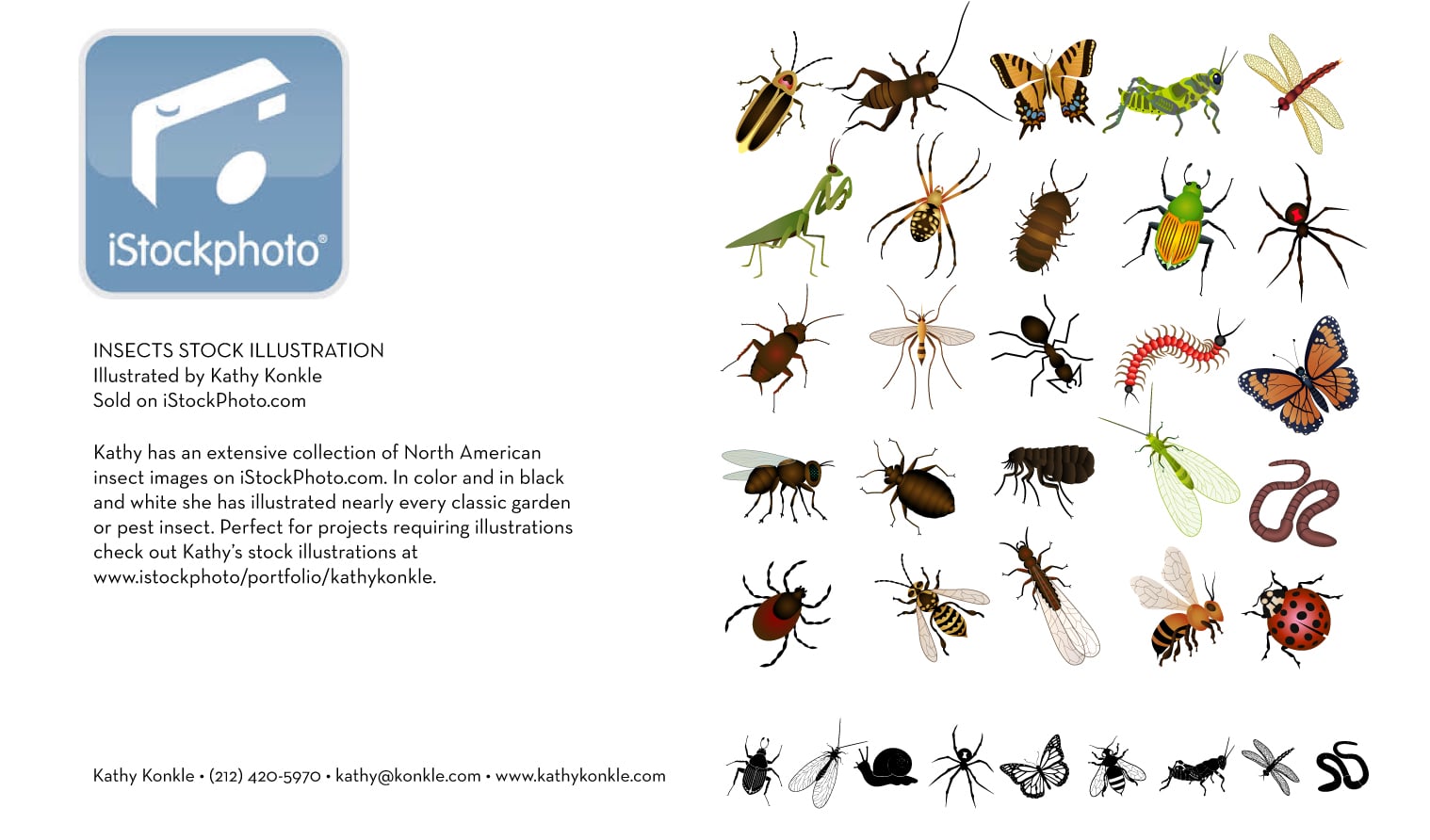 Istock-Insects.jpg