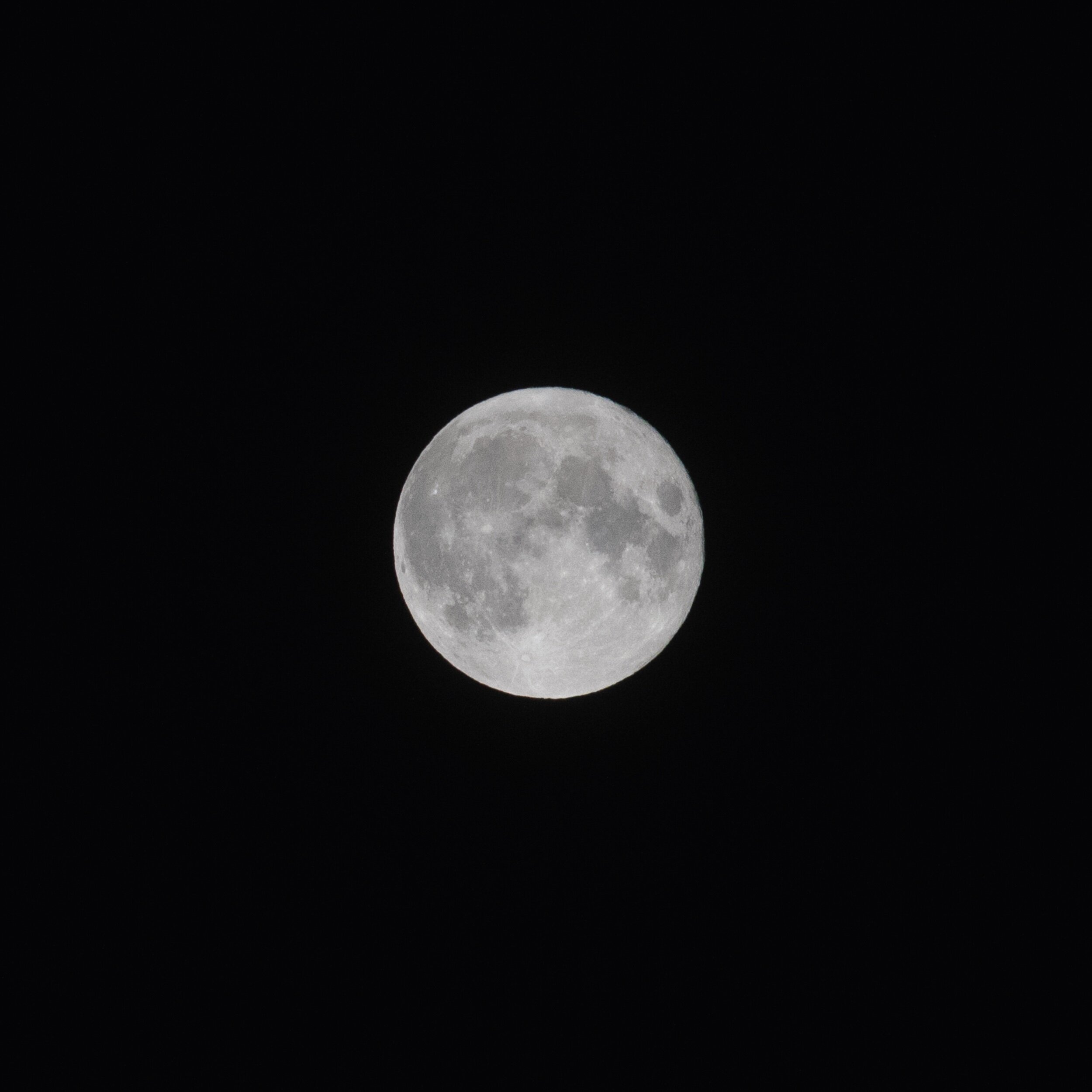 strawberrymoon_2.jpeg