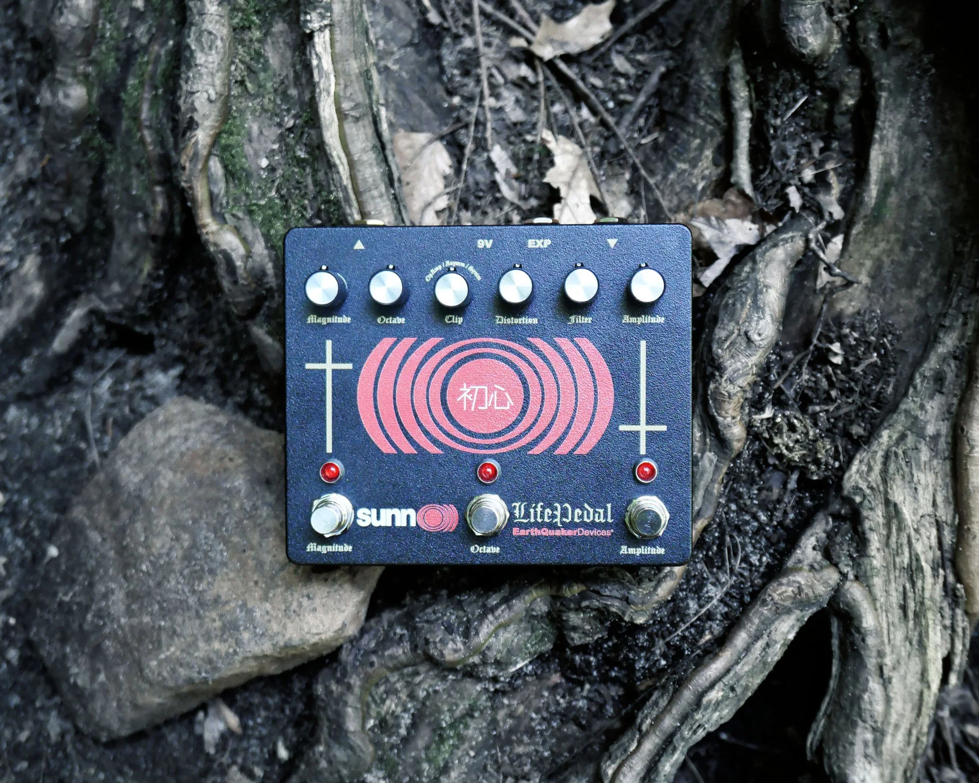 Social Media Photography