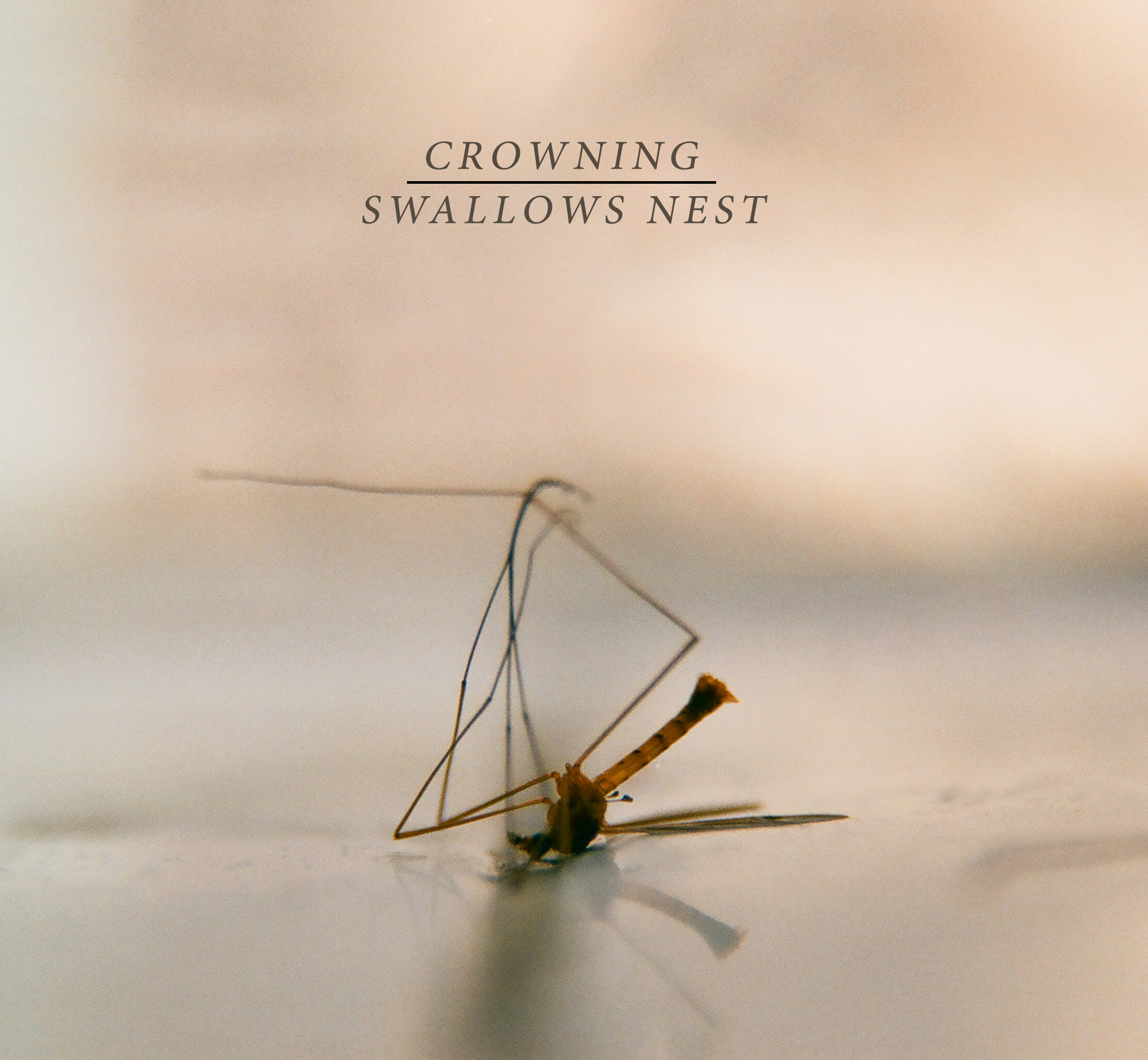 Crowning / Swallows Nest - split 7" -SOLD OUT