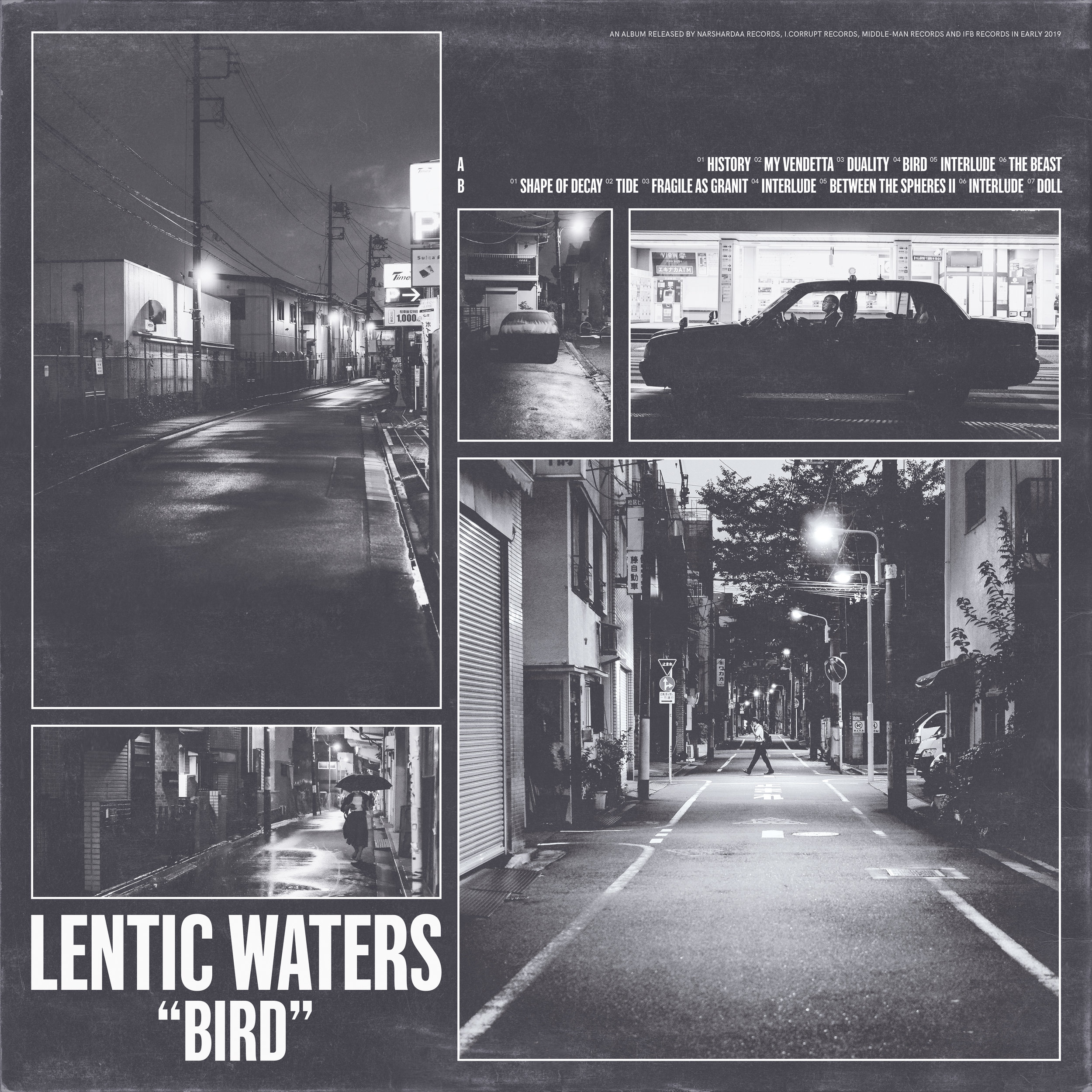 Lentic Waters - Bird LP - SOLD OUT