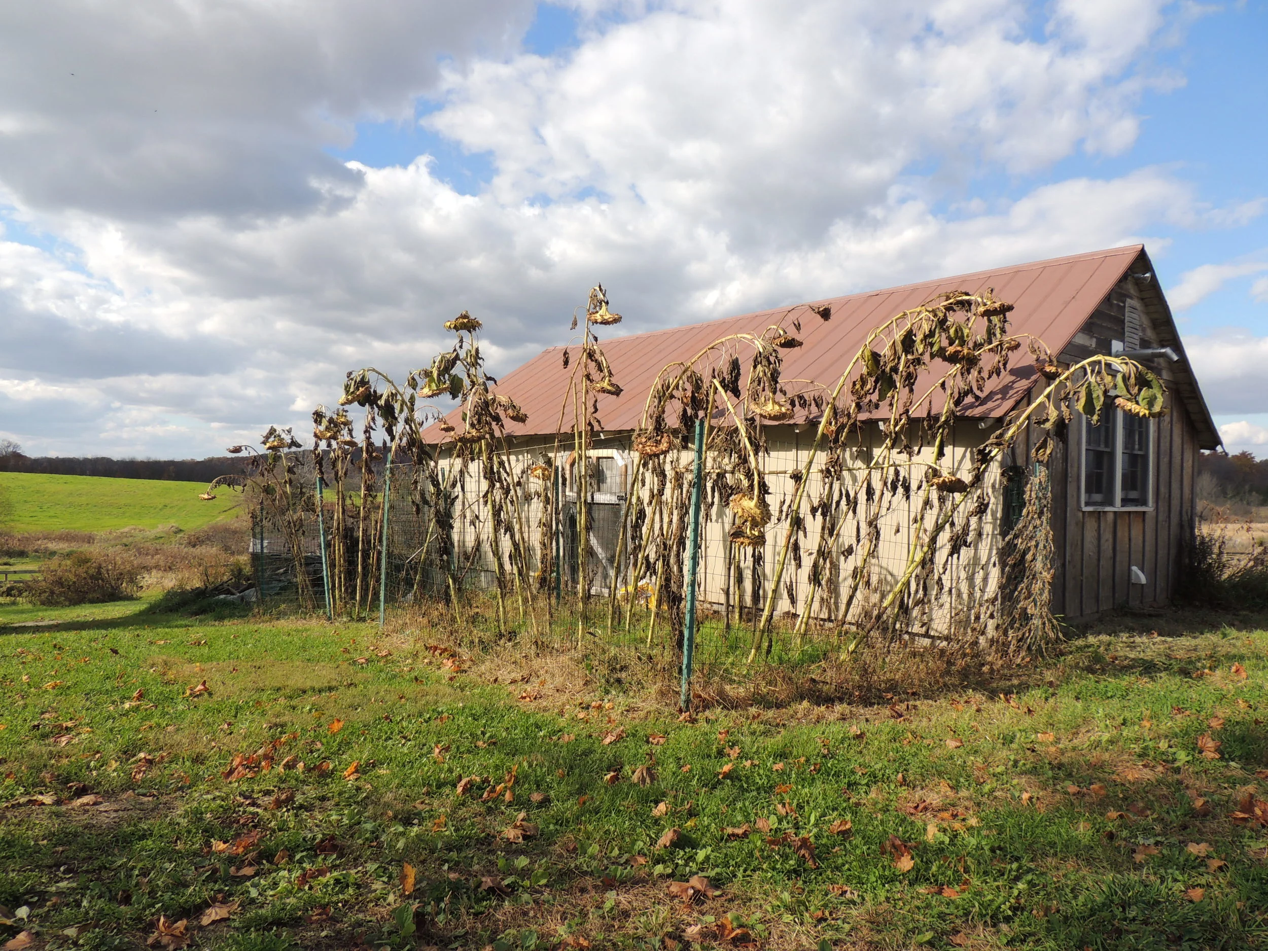 FRST DAY WITH NEW CAMERA 017.JPG