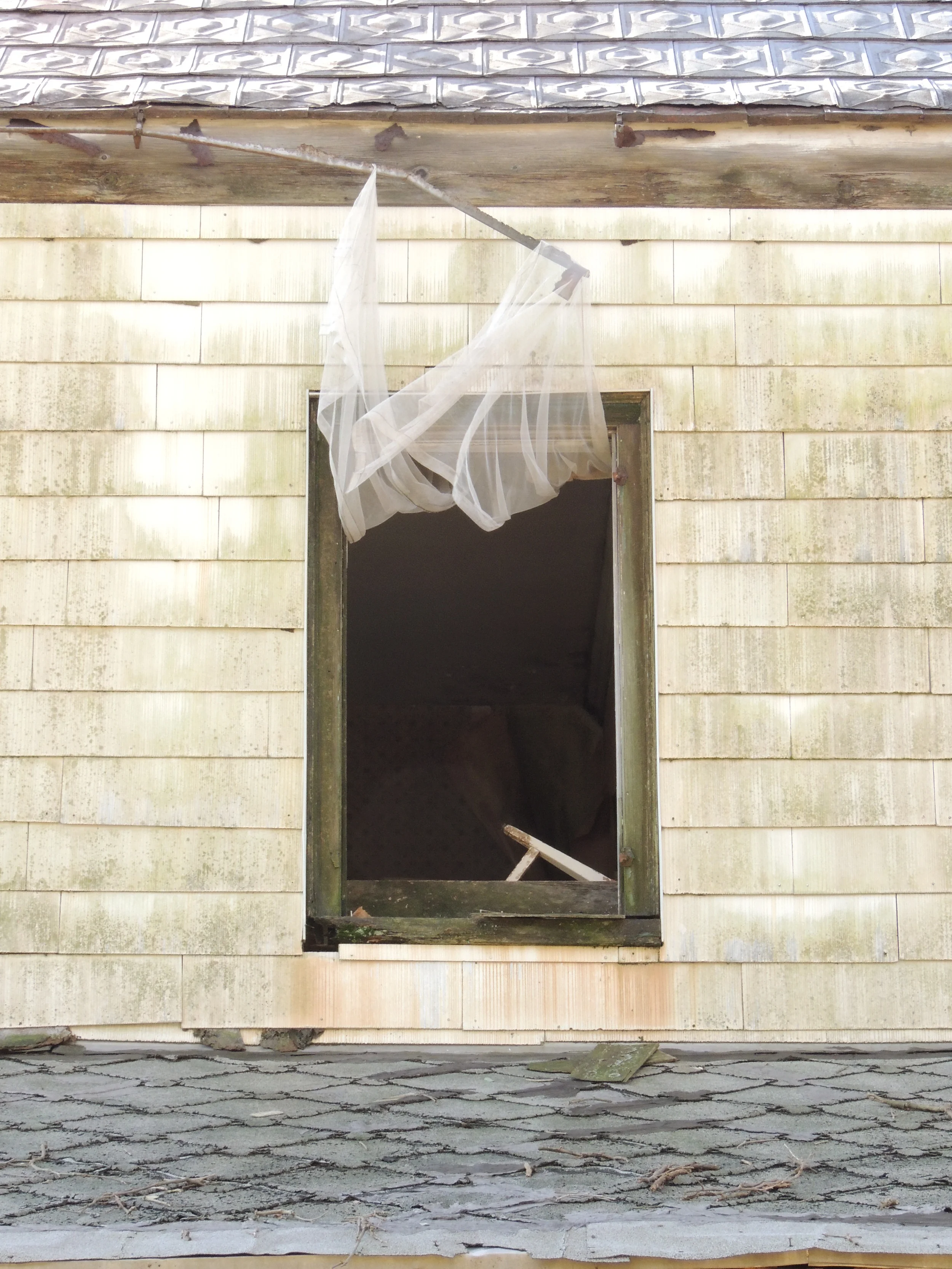 FRST DAY WITH NEW CAMERA 034.JPG