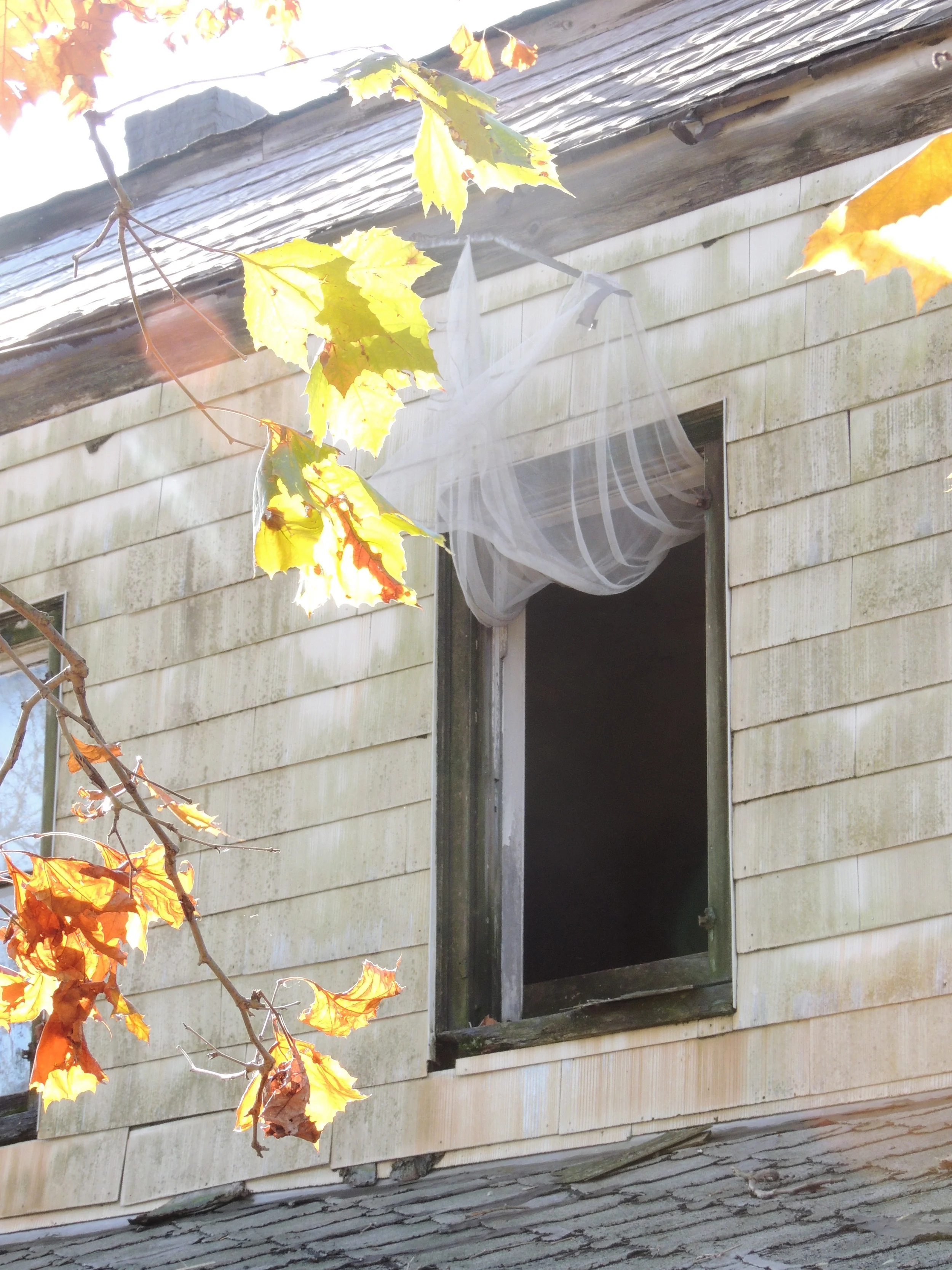 FRST DAY WITH NEW CAMERA 033.JPG