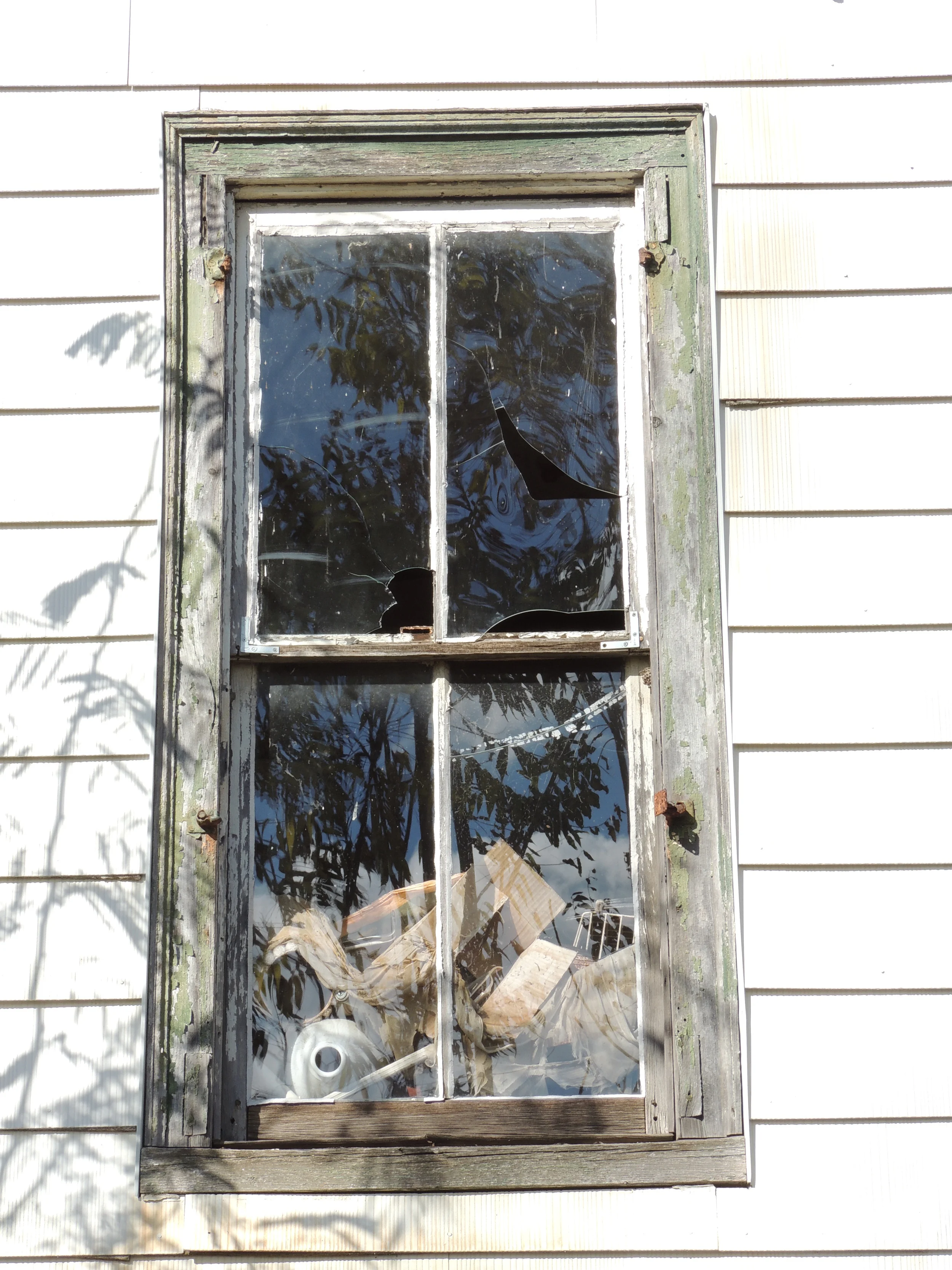 FRST DAY WITH NEW CAMERA 036.JPG