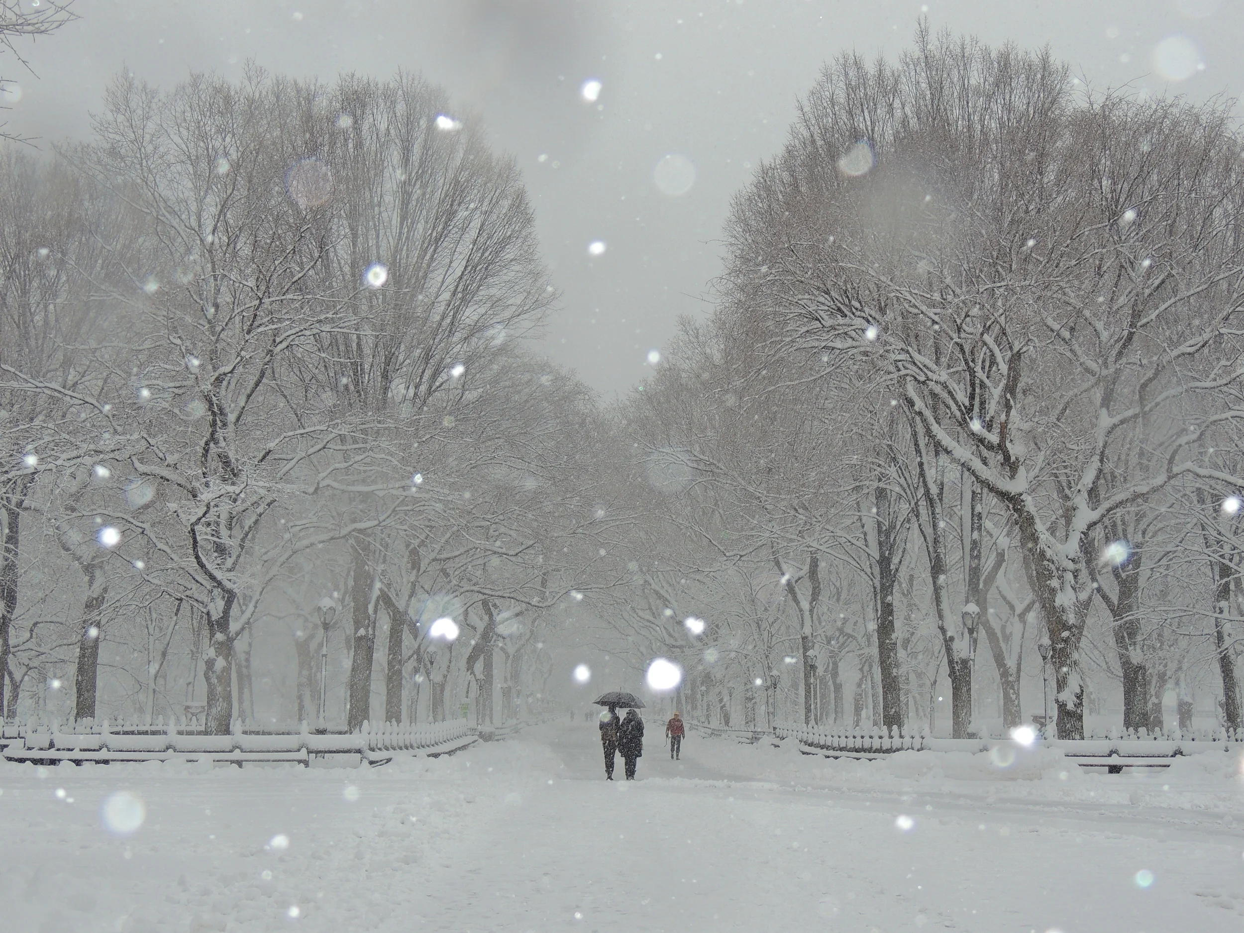 DSCN2517.JPG