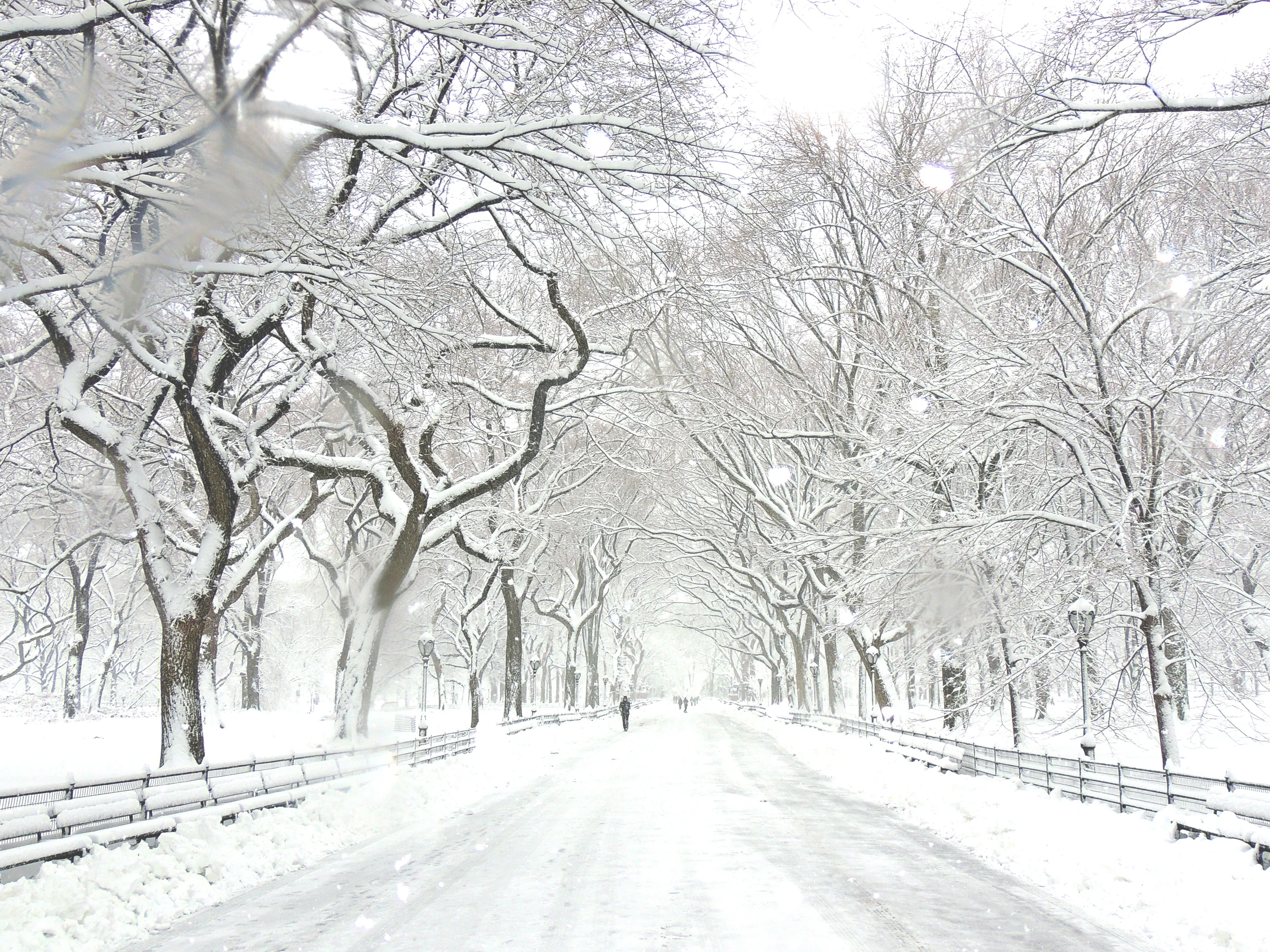 DSCN2533.jpg