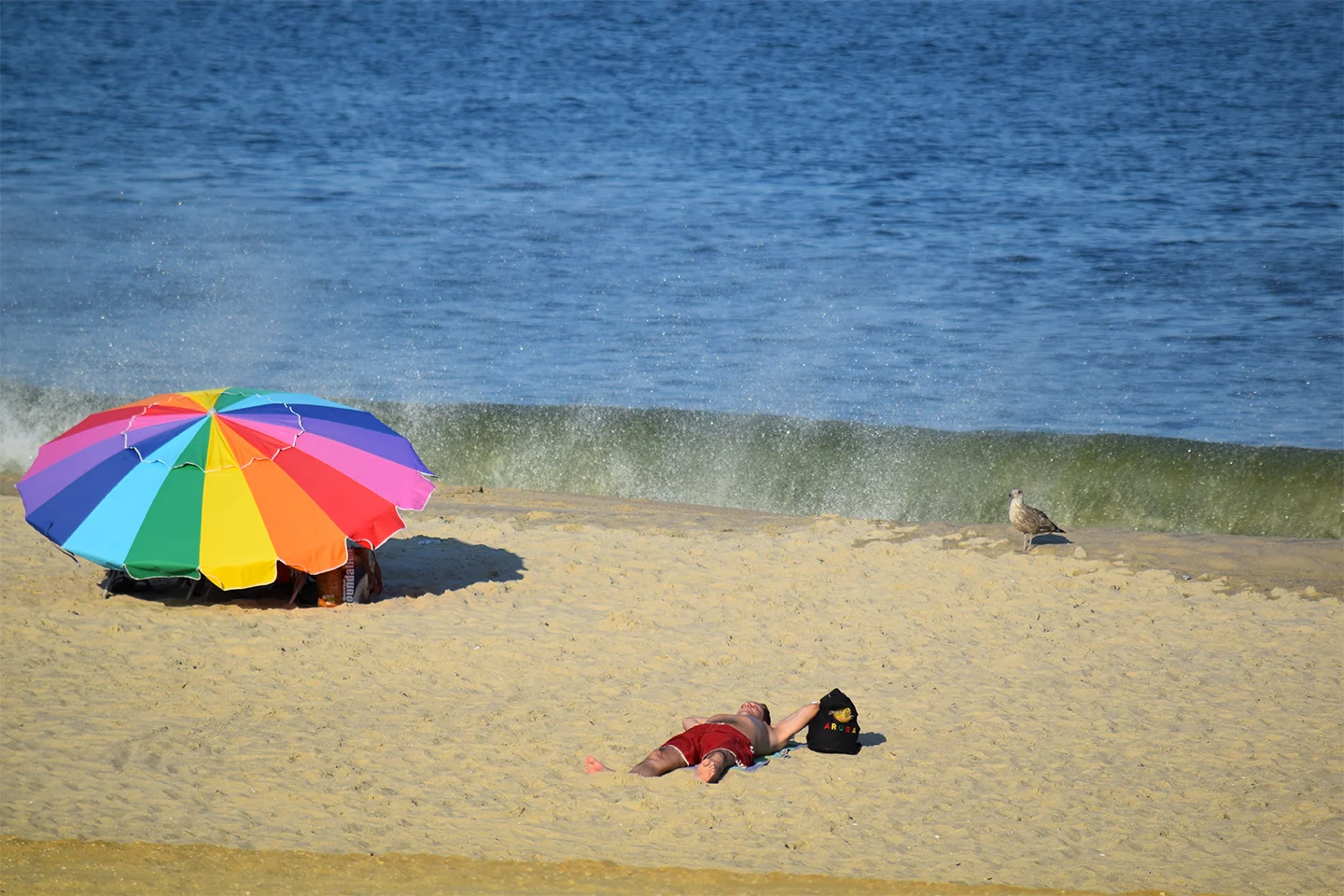 DSC_0158-beach.jpg