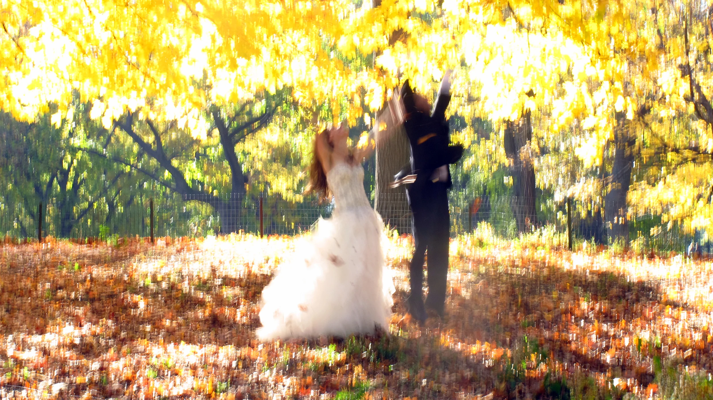 WEDDING IN CP.jpg