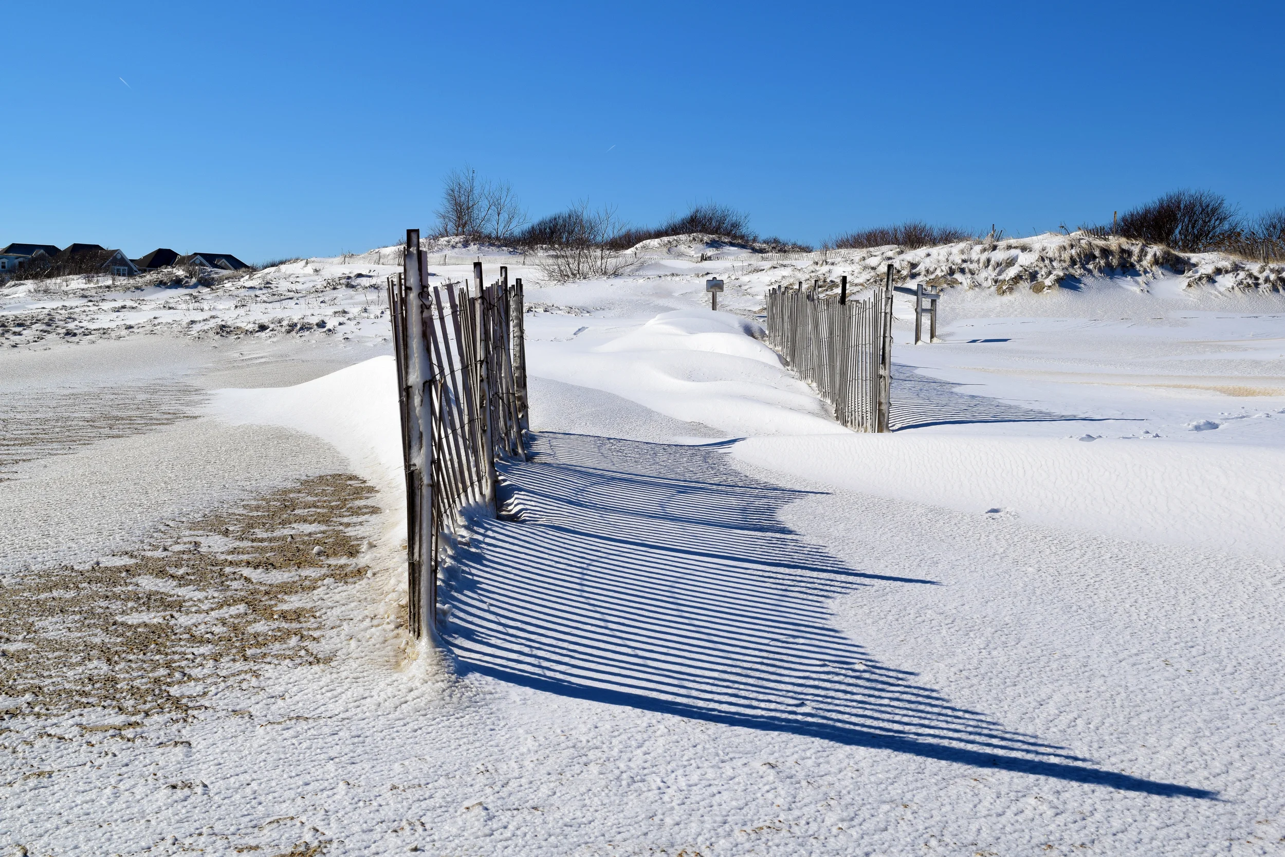 DSC_0743.jpg