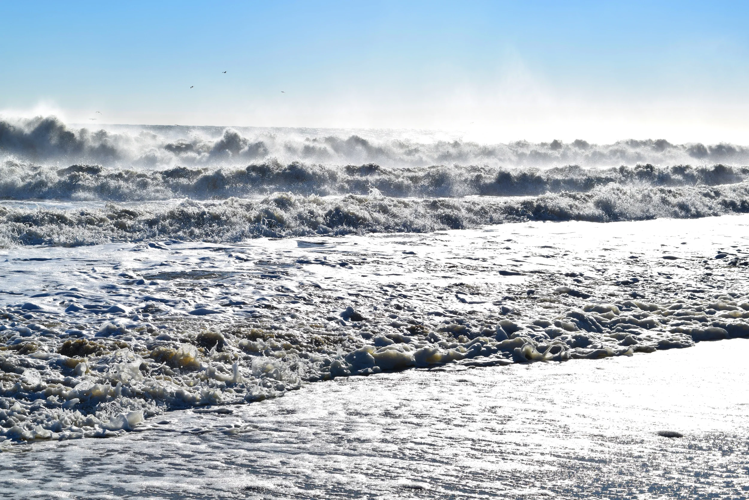 DSC_0604.jpg