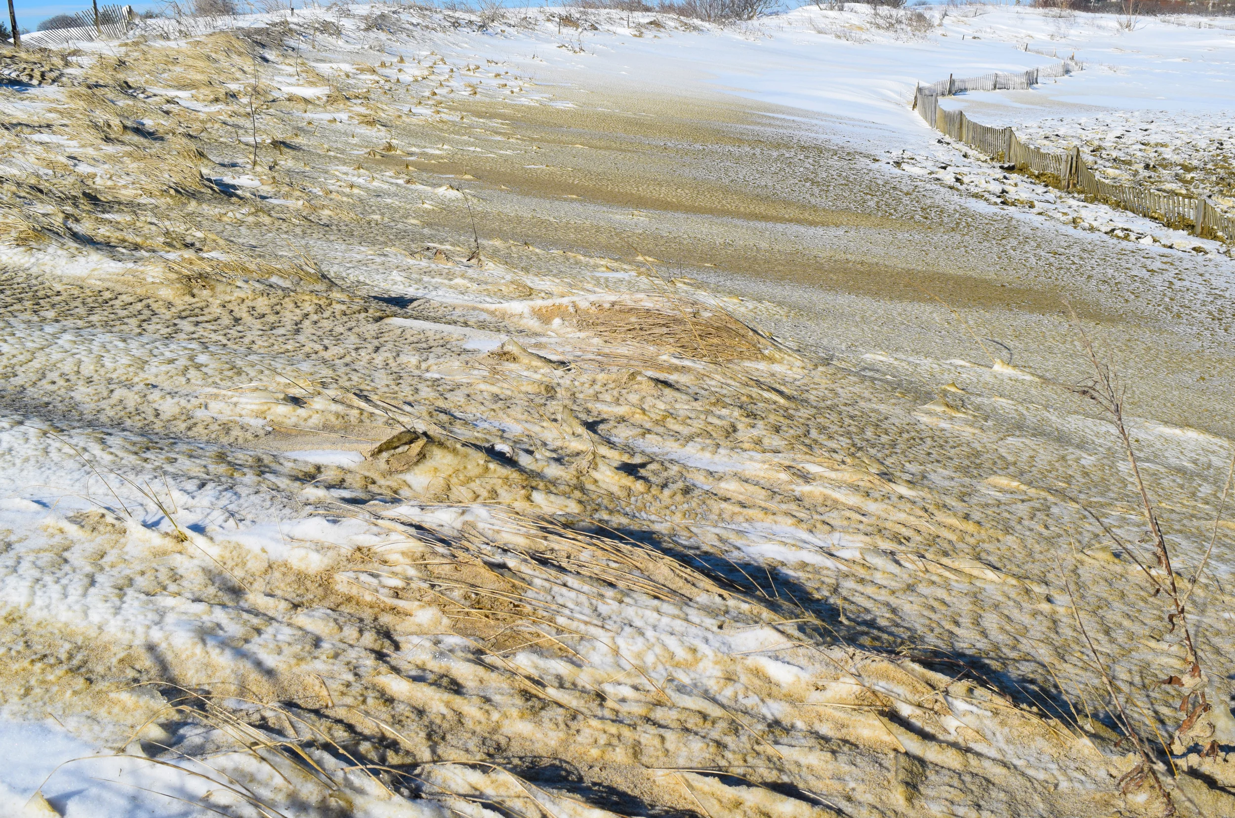 DSC_0662.jpg