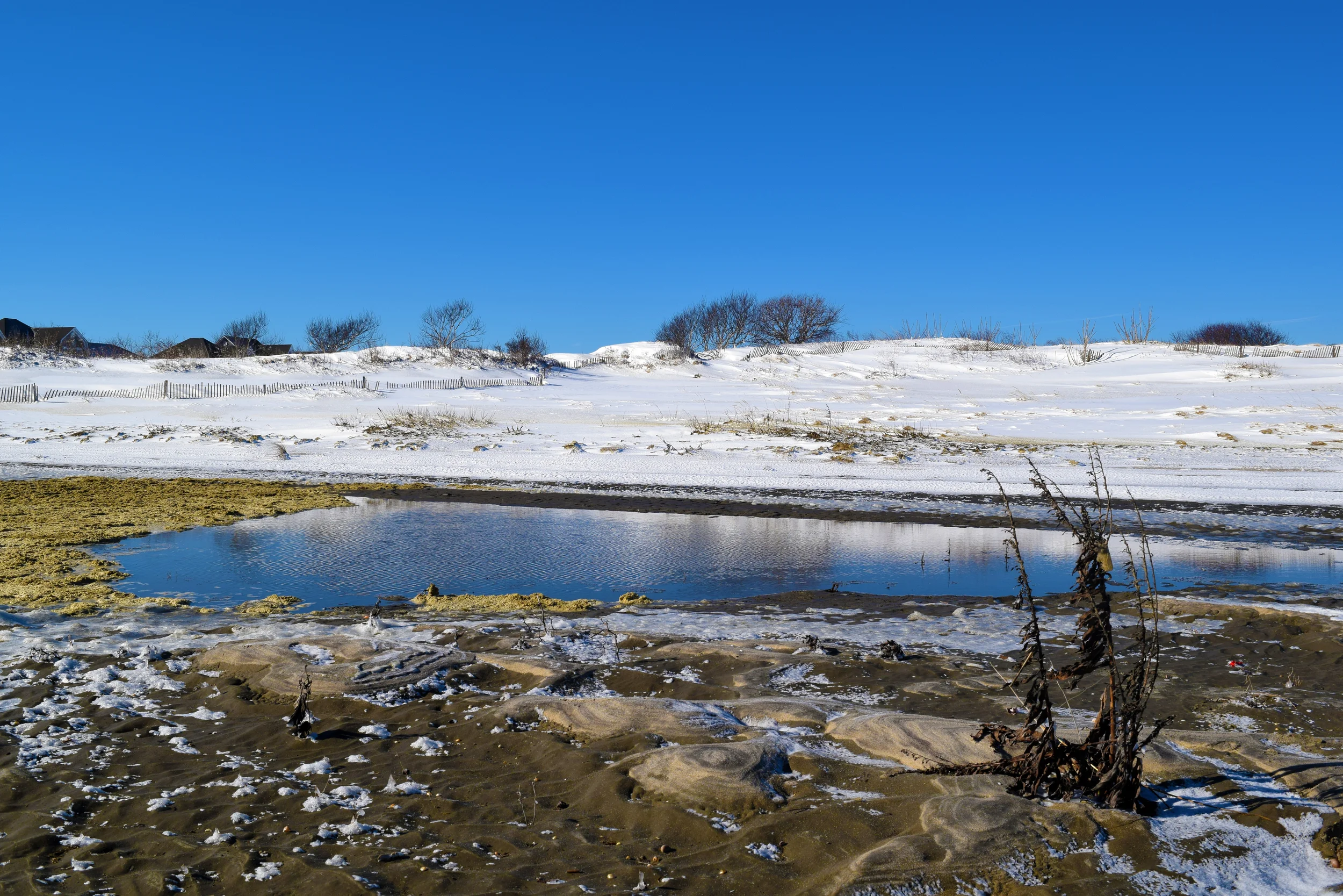 DSC_0691.jpg