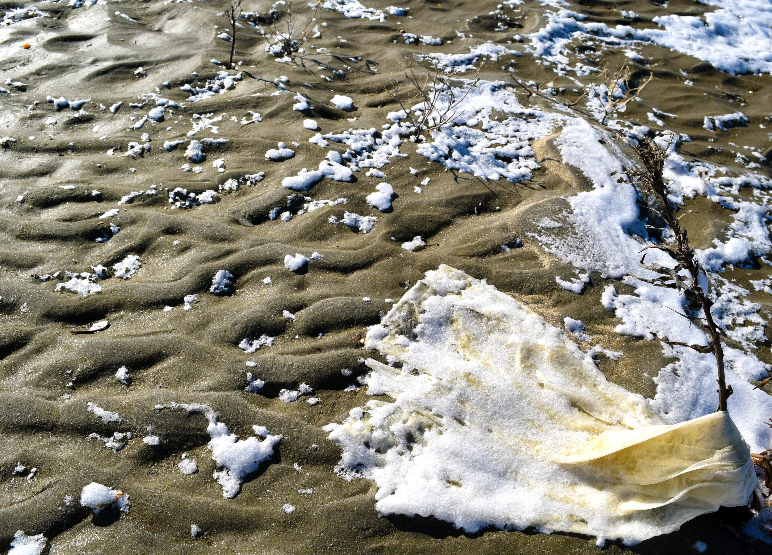 DSC_0698.jpg