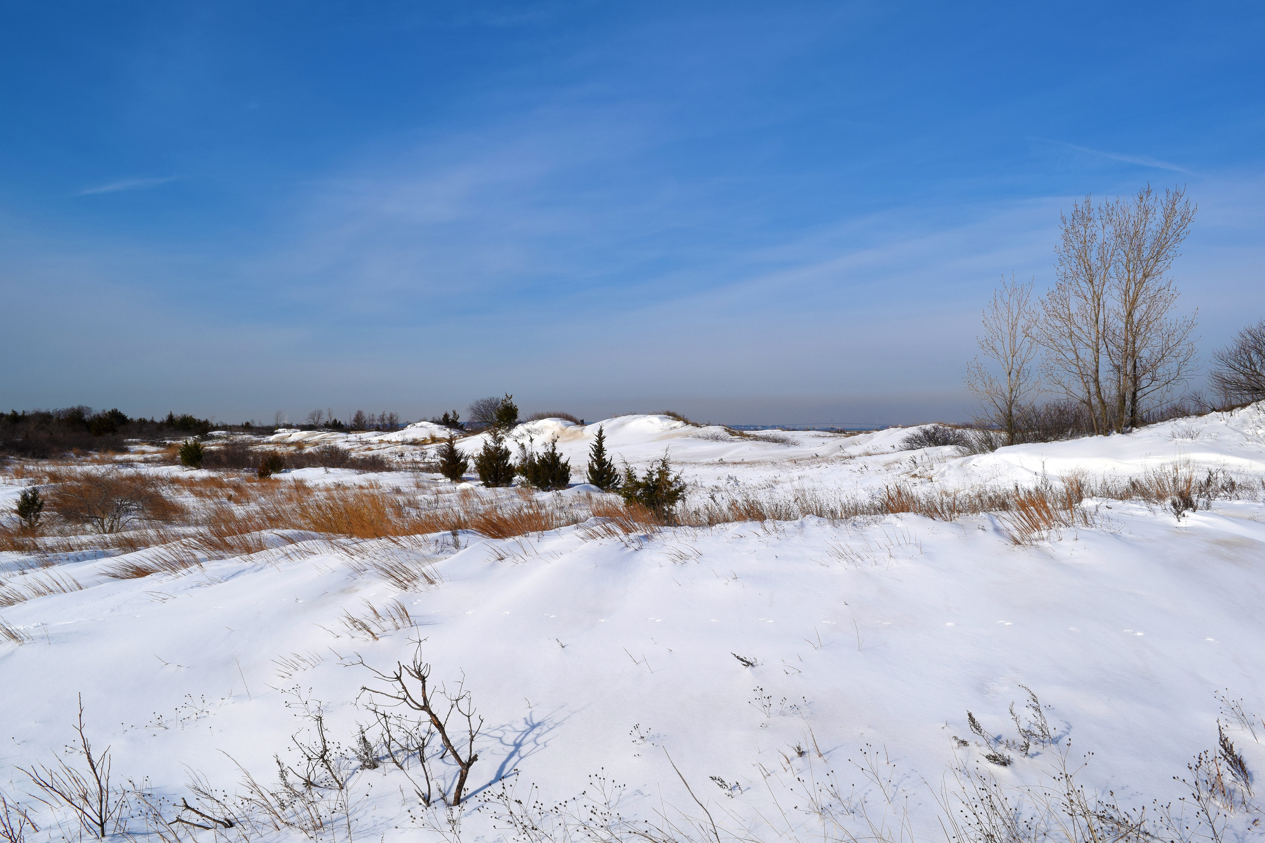 DSC_0789.jpg