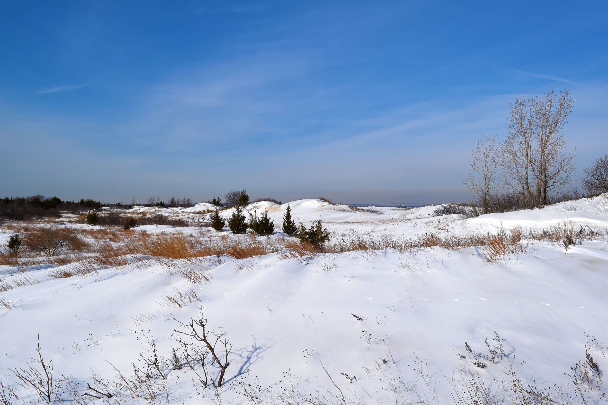 DSC_0789.jpg