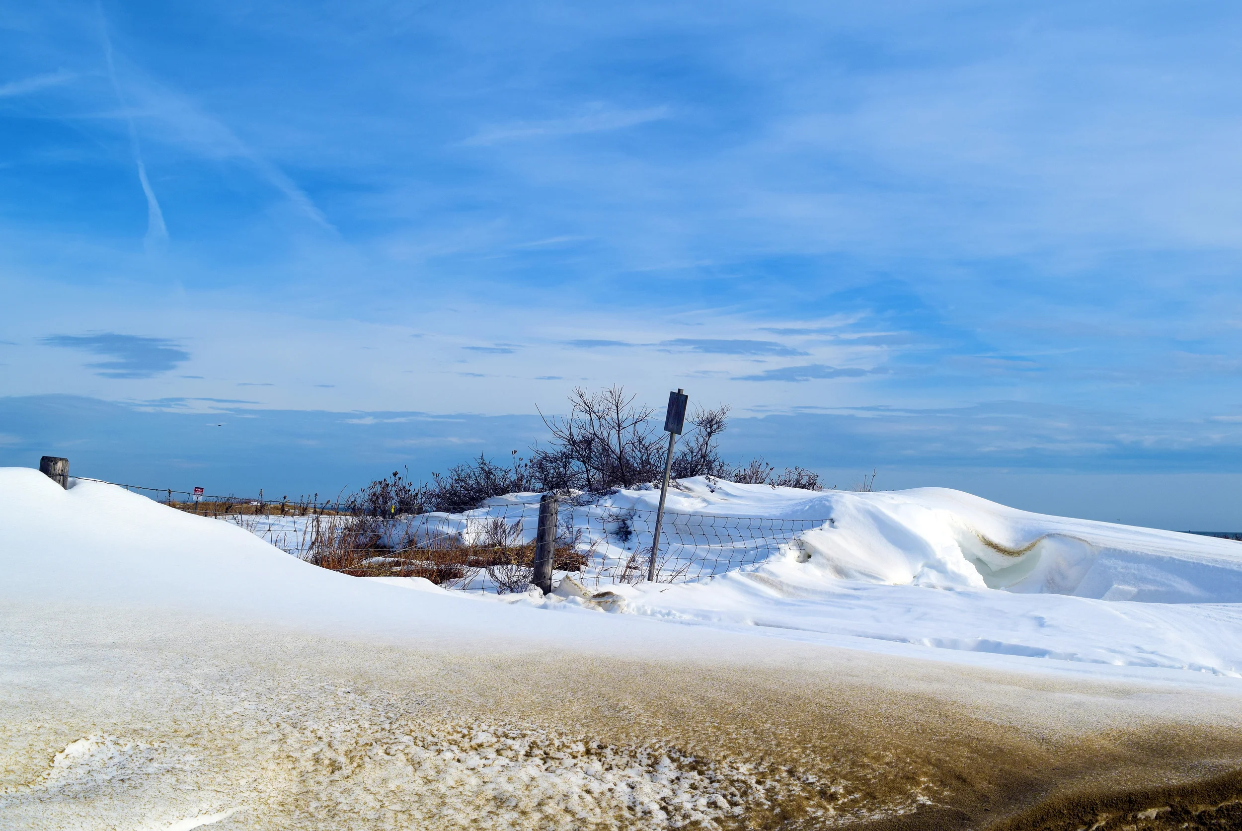 DSC_0999.jpg