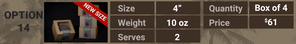 OPTION_14-2025 (00000).png