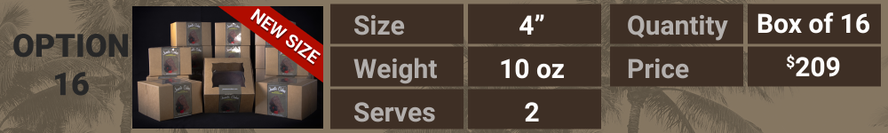 OPTION_16-2025 (00000).png