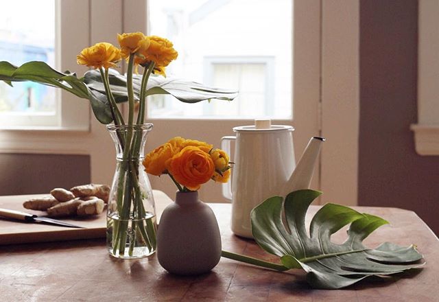 Waiting out the storm with ginger tea and ranunculus