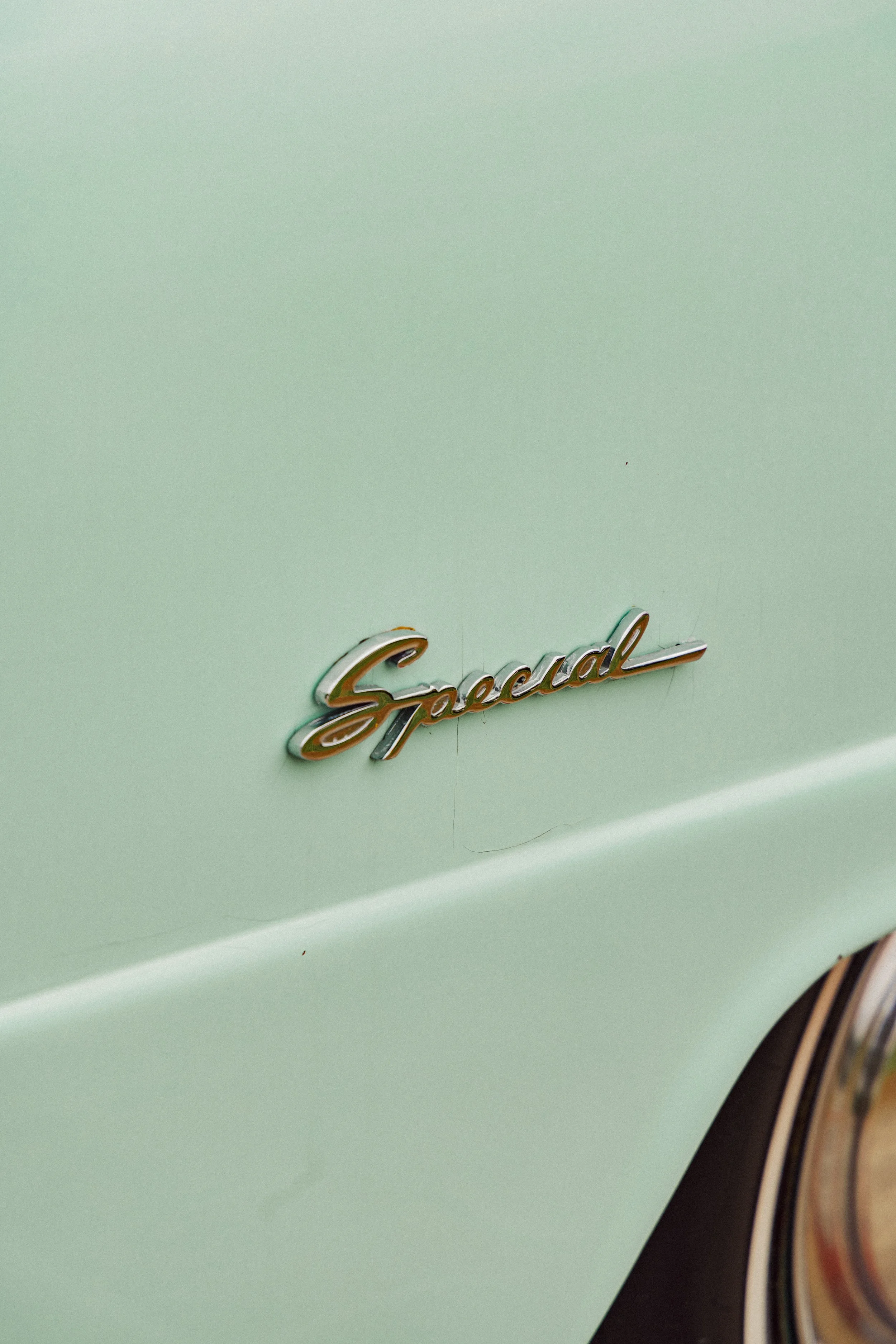 GD8A3716.jpg