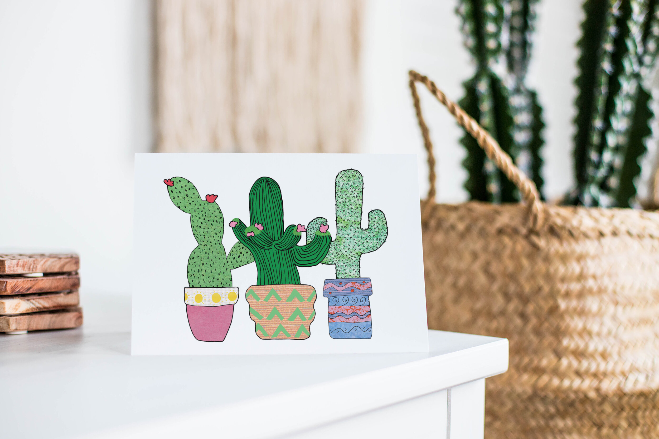 cactistaged.jpg