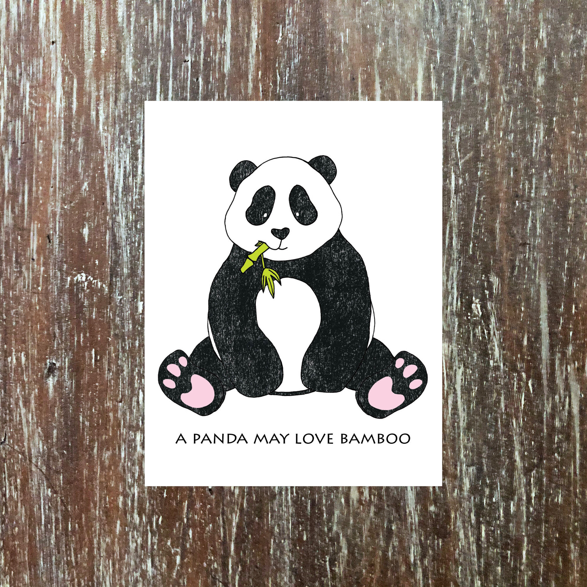 pandafront.jpg