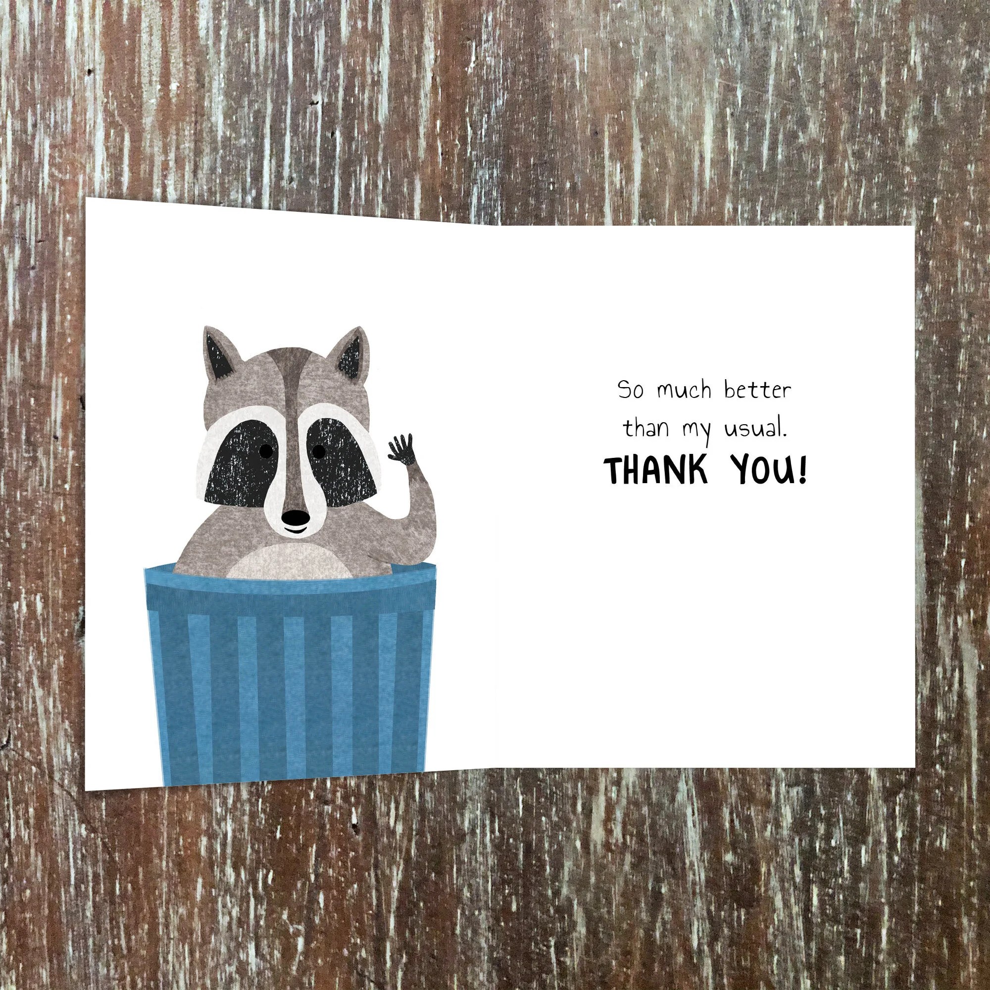 raccooninside.jpg