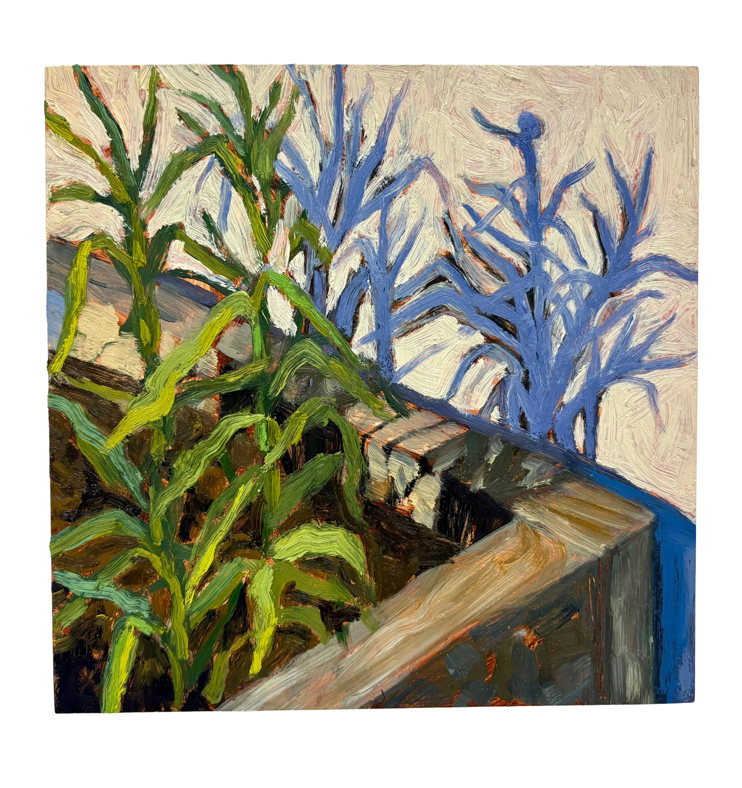 IMG_1390 - Edited.png