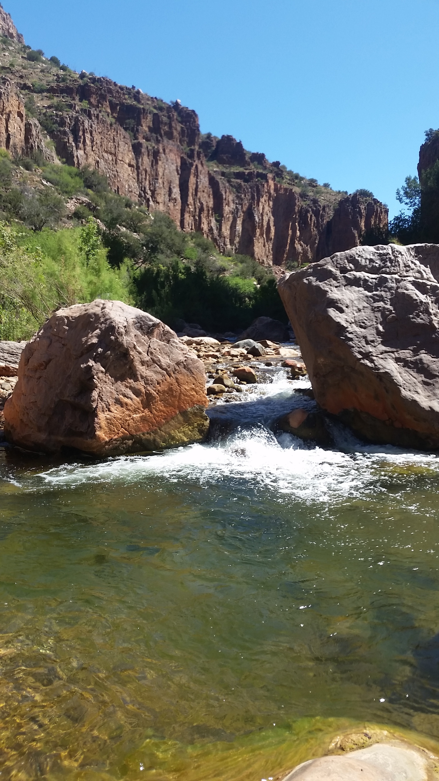 20160521_095303.jpg