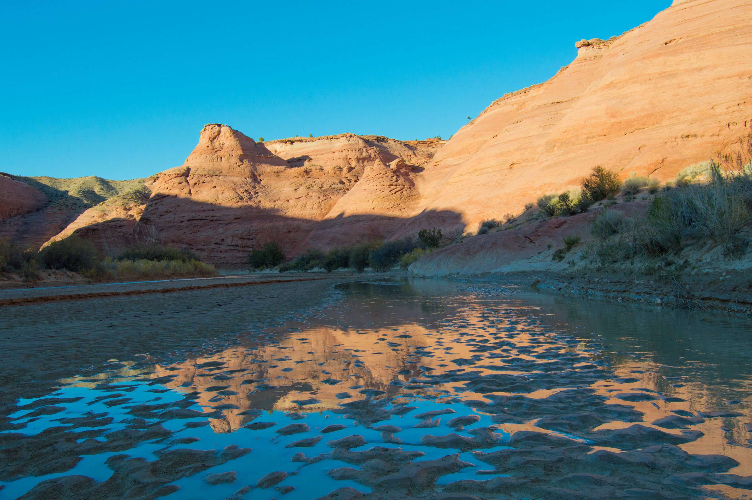 DSC_0156.jpg