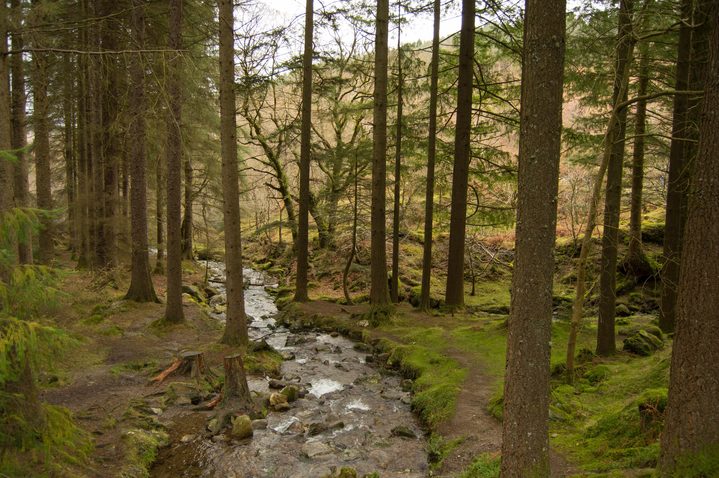 DSC_0025.jpg
