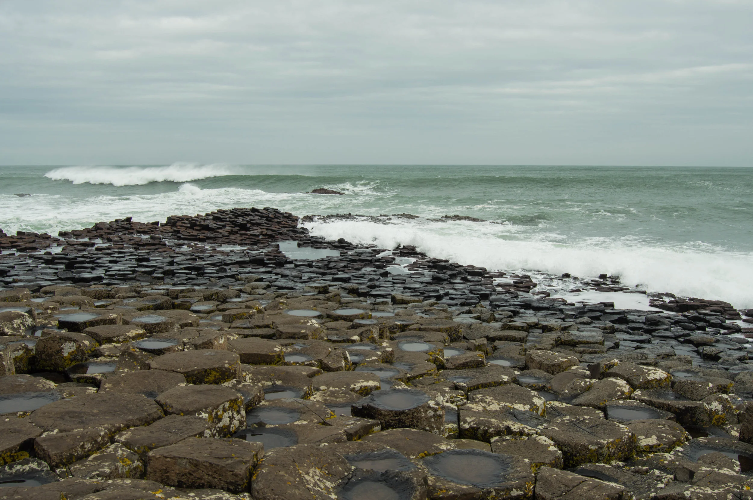 DSC_0256.jpg