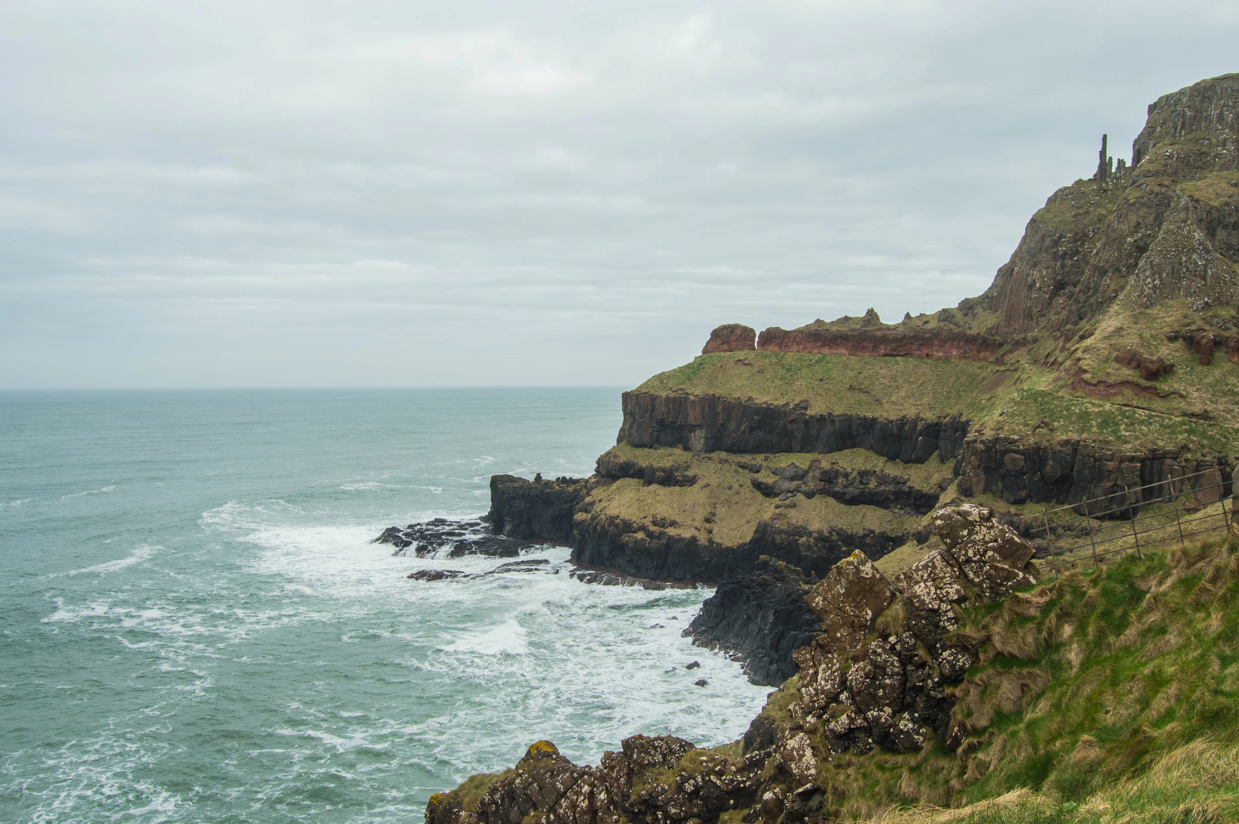 DSC_0266.jpg