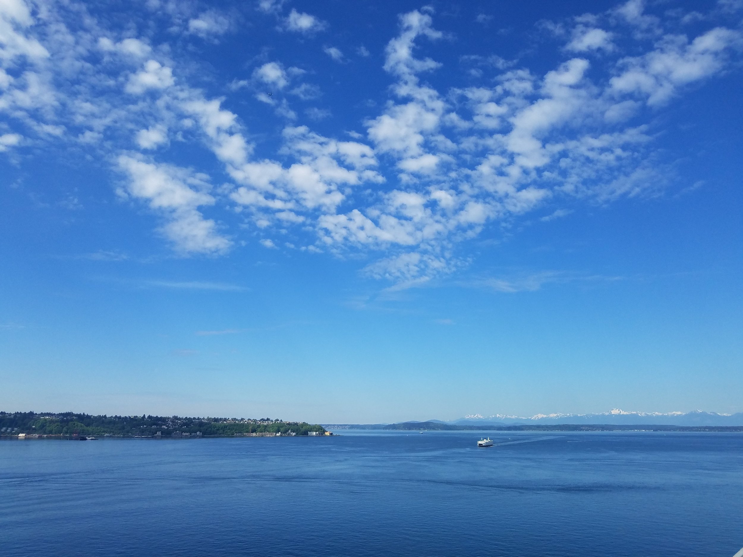 20180506_101407.jpg