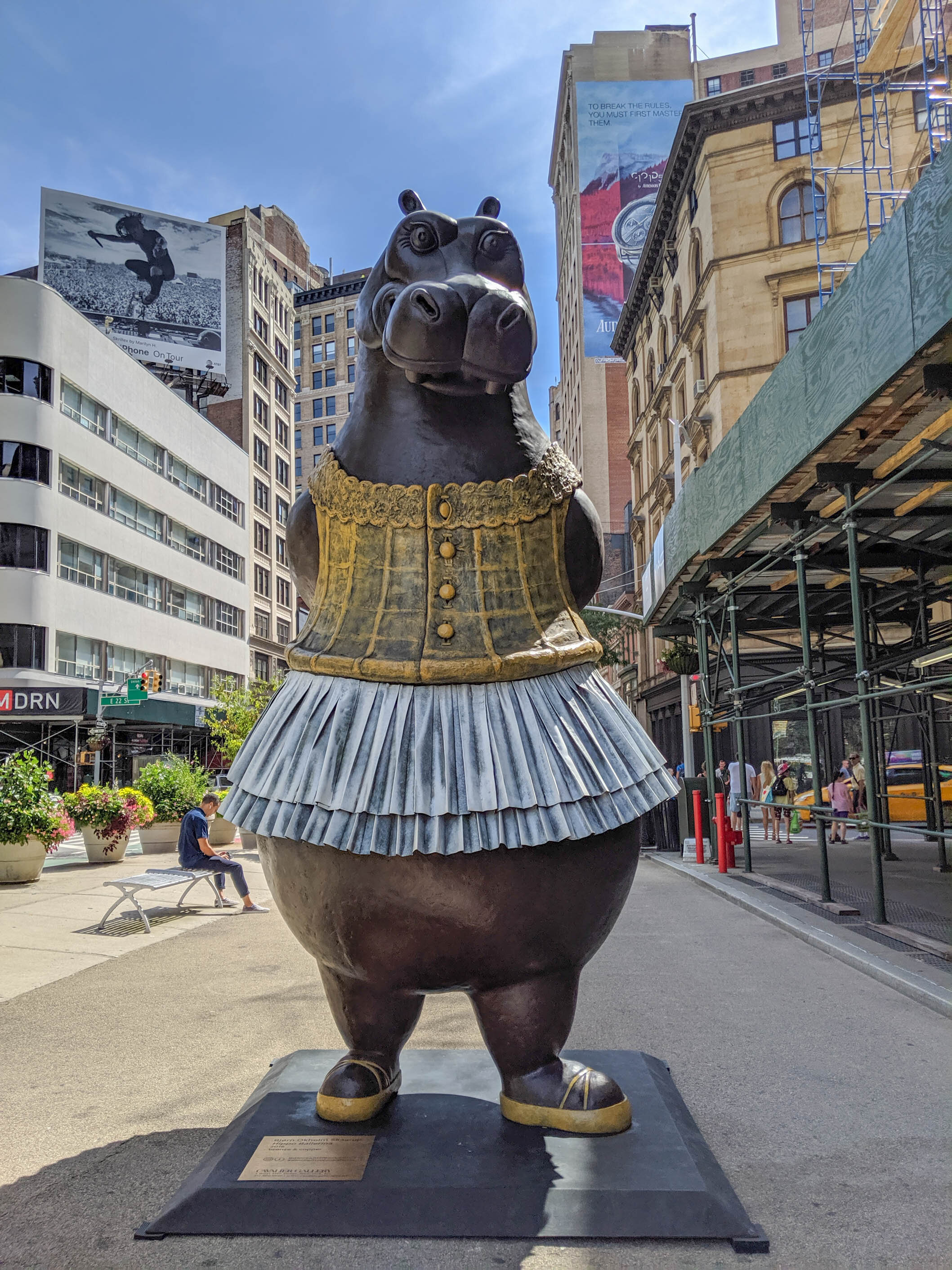Hippo Ballerina | Midtown