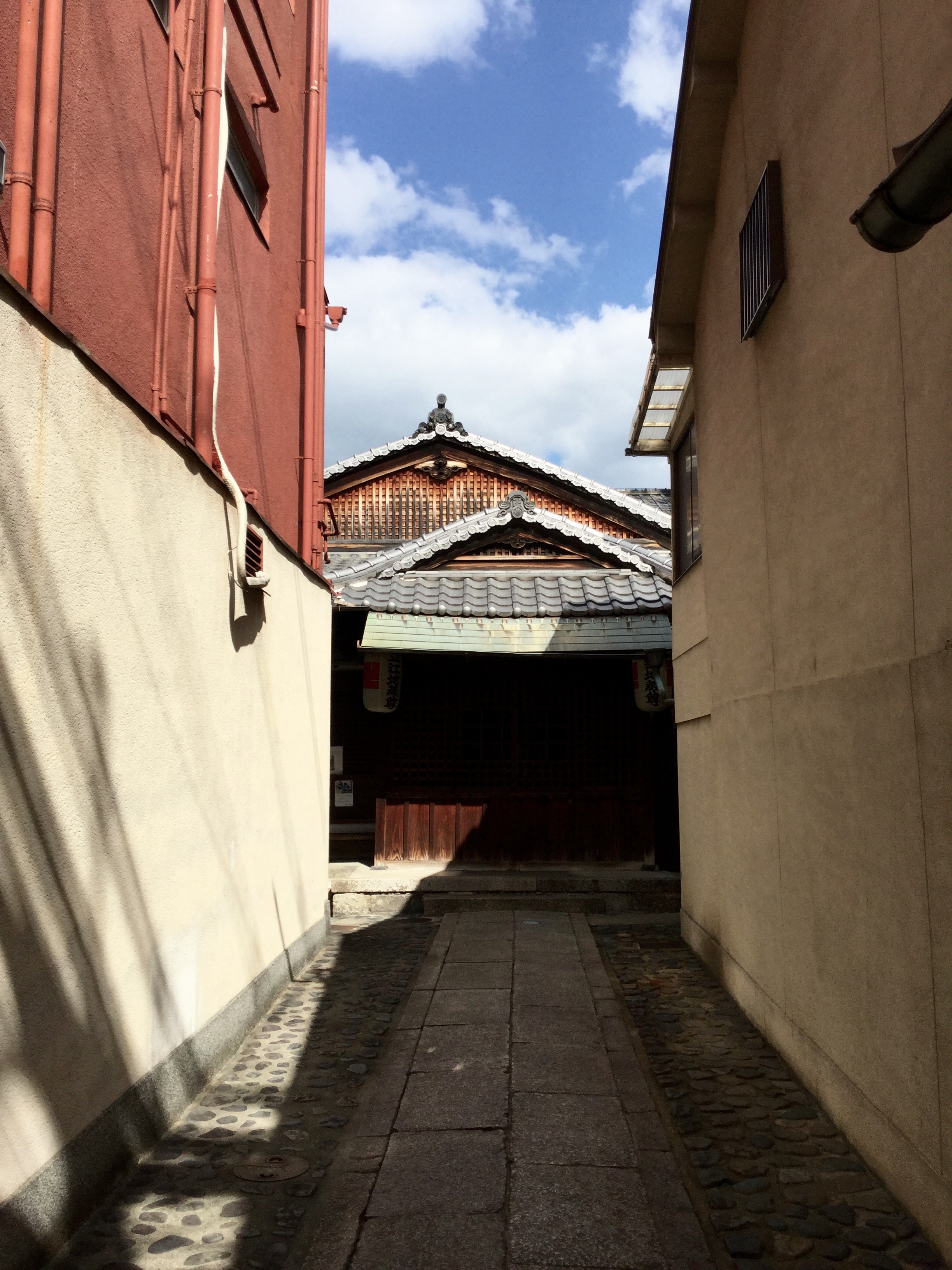 Almost the same as an abandoned building gradually becoming consumed be nature. These temples have gradually become engrossed by modernisation. 