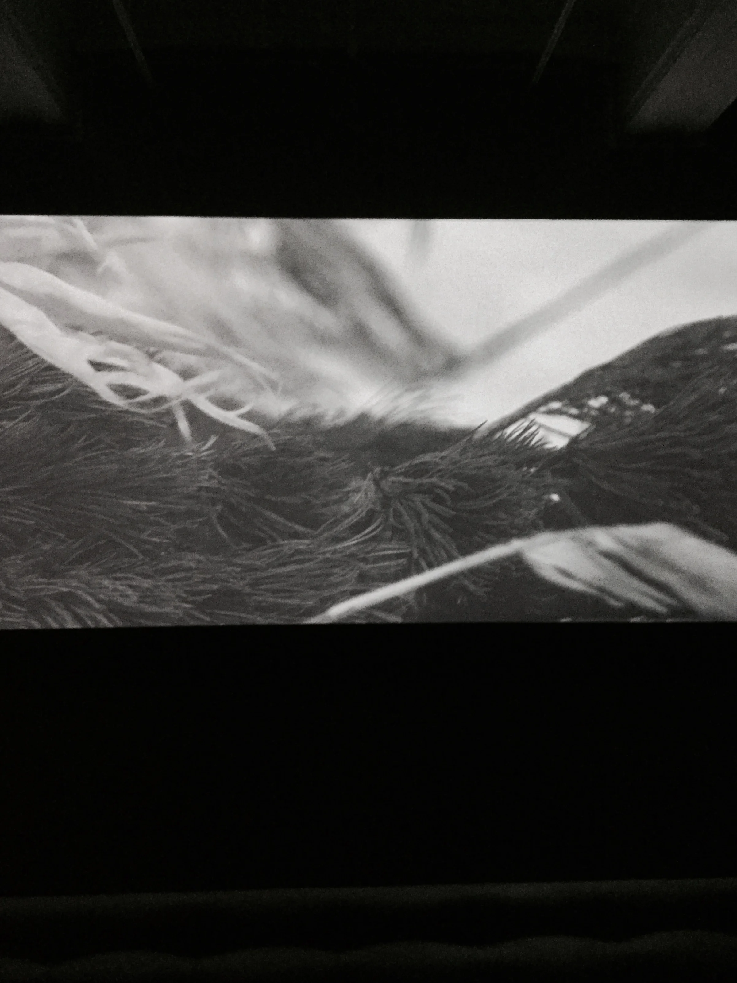 Never been so inspired by what film can do. NEW INCUBATION 7 "Parallel World" featuring a short film by Eugene Kangawa. 