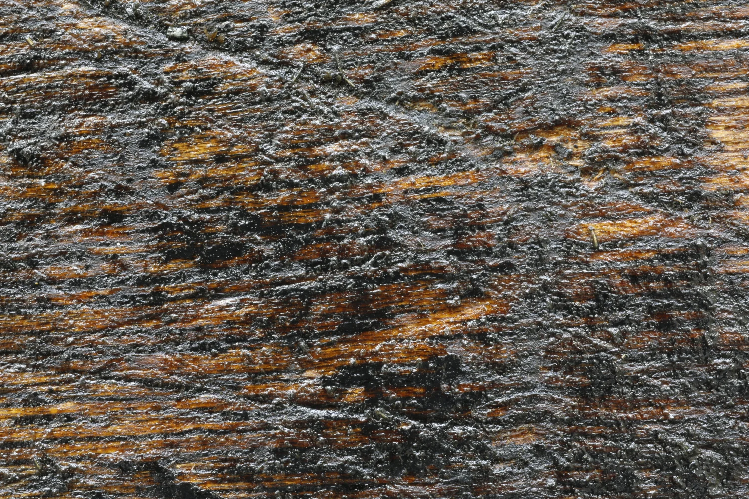 ‘Abstract Perspective‘. (close up) 