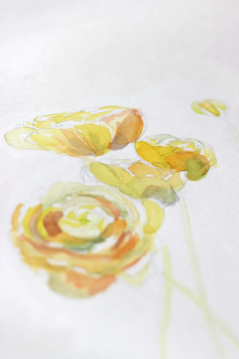 Marmalade Mary Jo Major