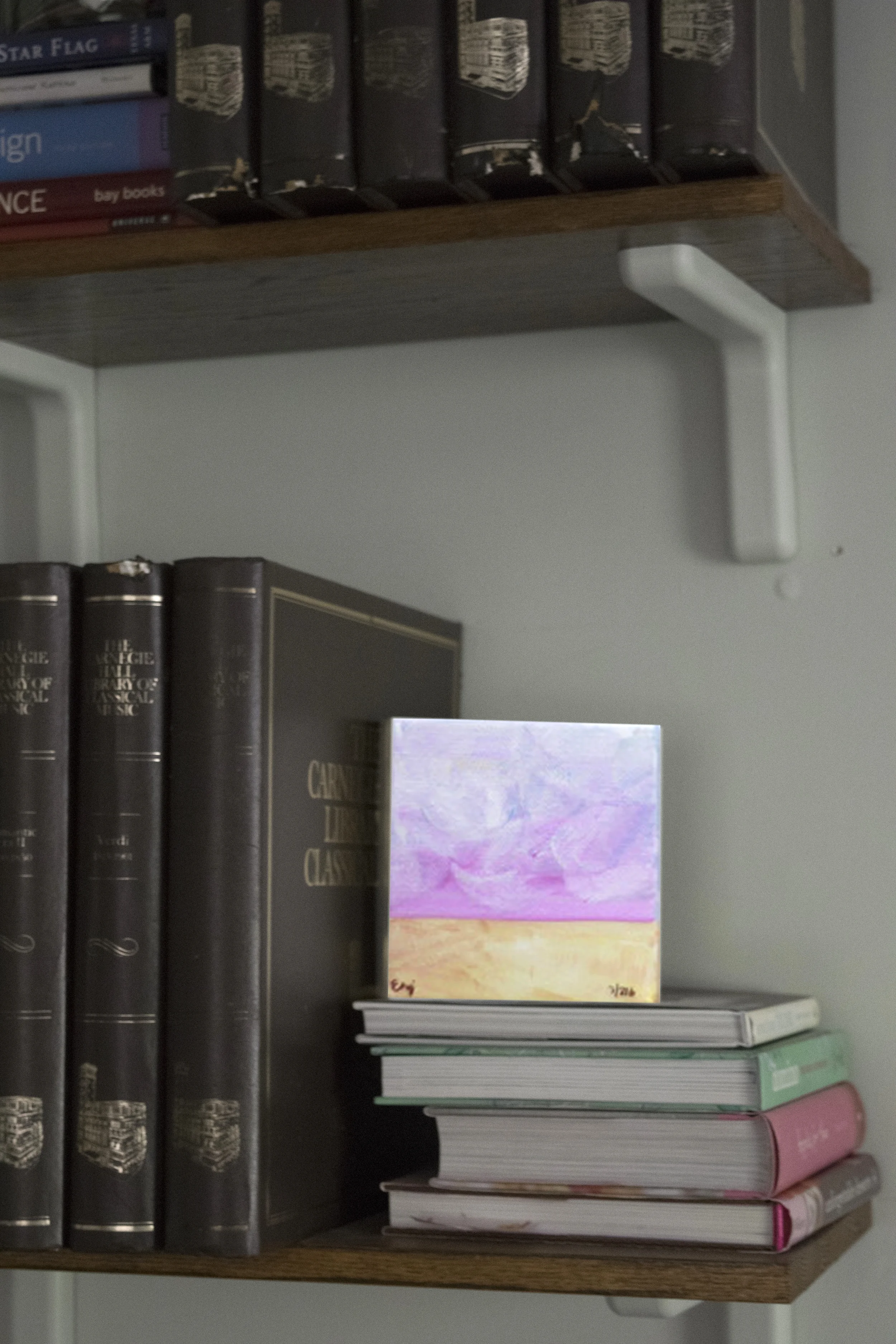 Emily's piece from the 216 series in on the bookcase