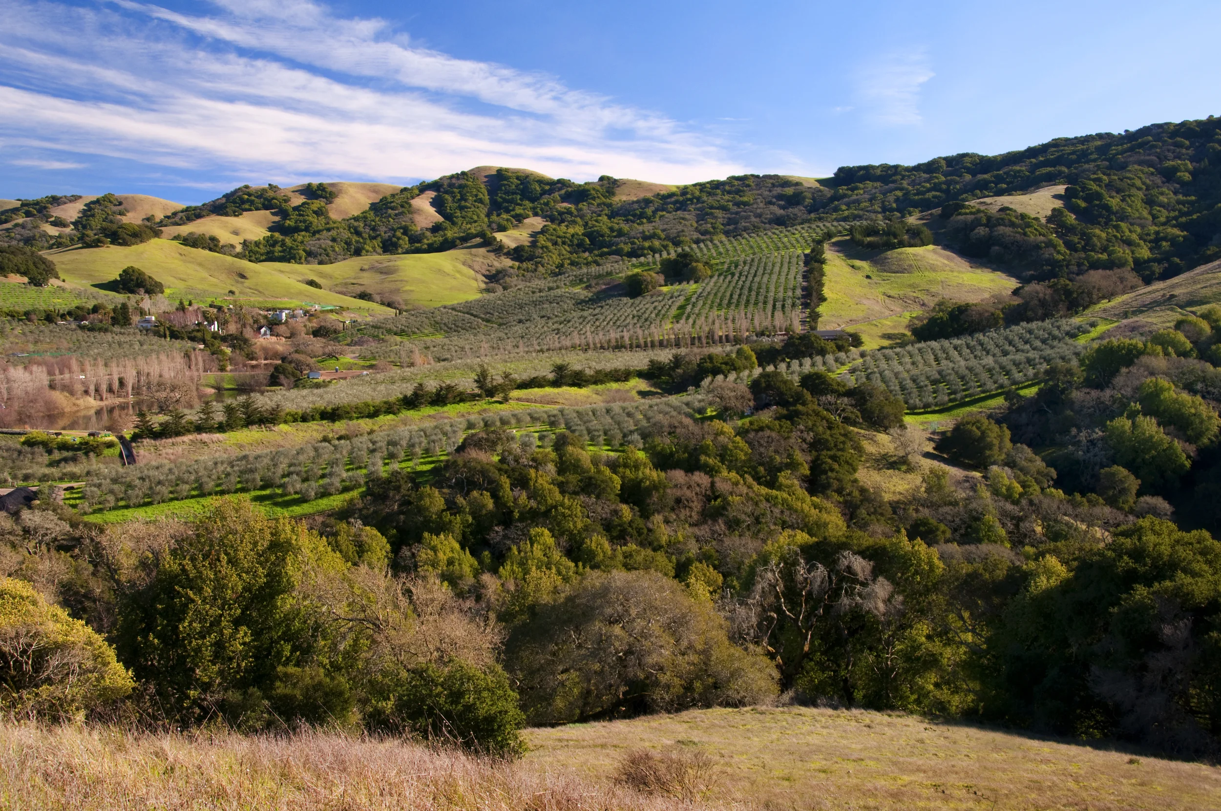 Carbon Farming For Your Business