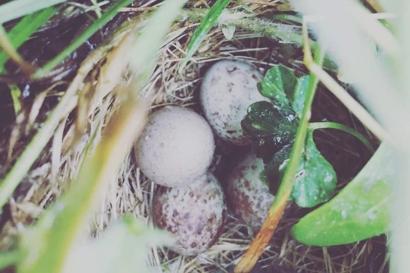 Financial Planning for the Next Economy, Reducing Our Reliance on Financial Currency