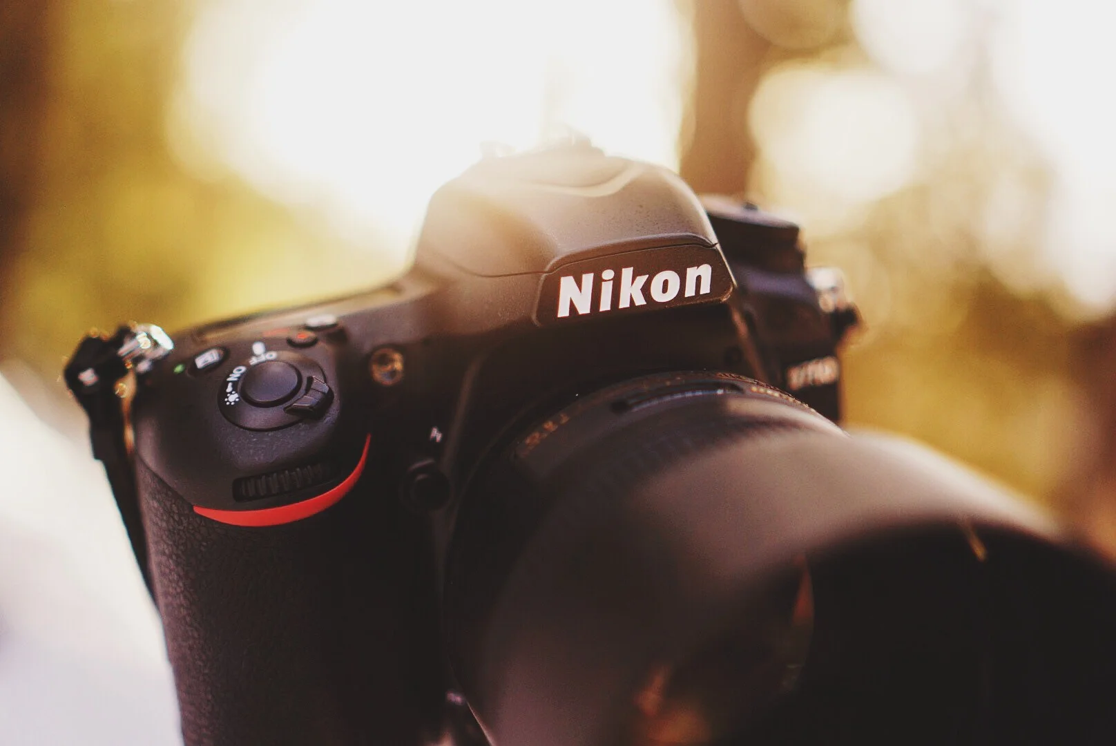 [À LA RECHERCHE/LOOKING FOR]