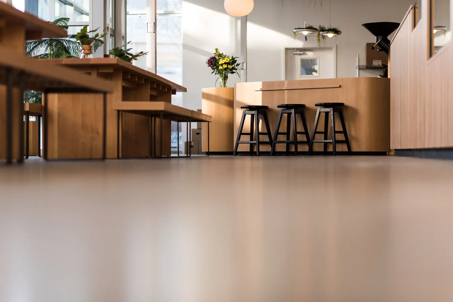 Rhoncus Design - Saint-Henri microtorréfacteur Québec