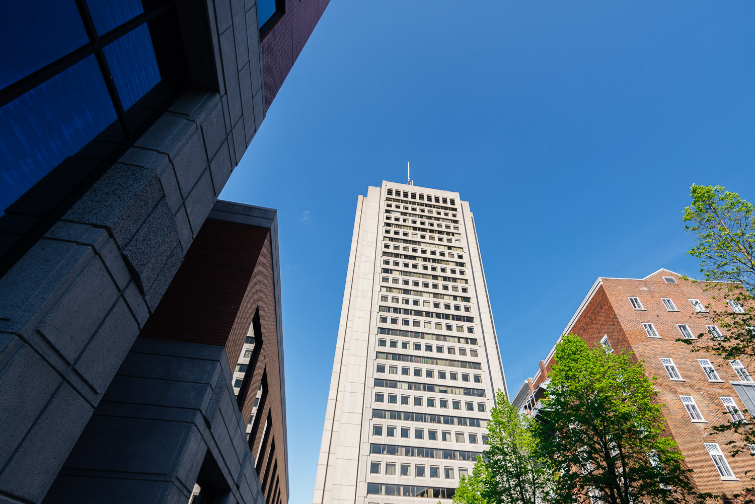 Nouvelle expérience interactive signée Olivier Dufour à l'Obs