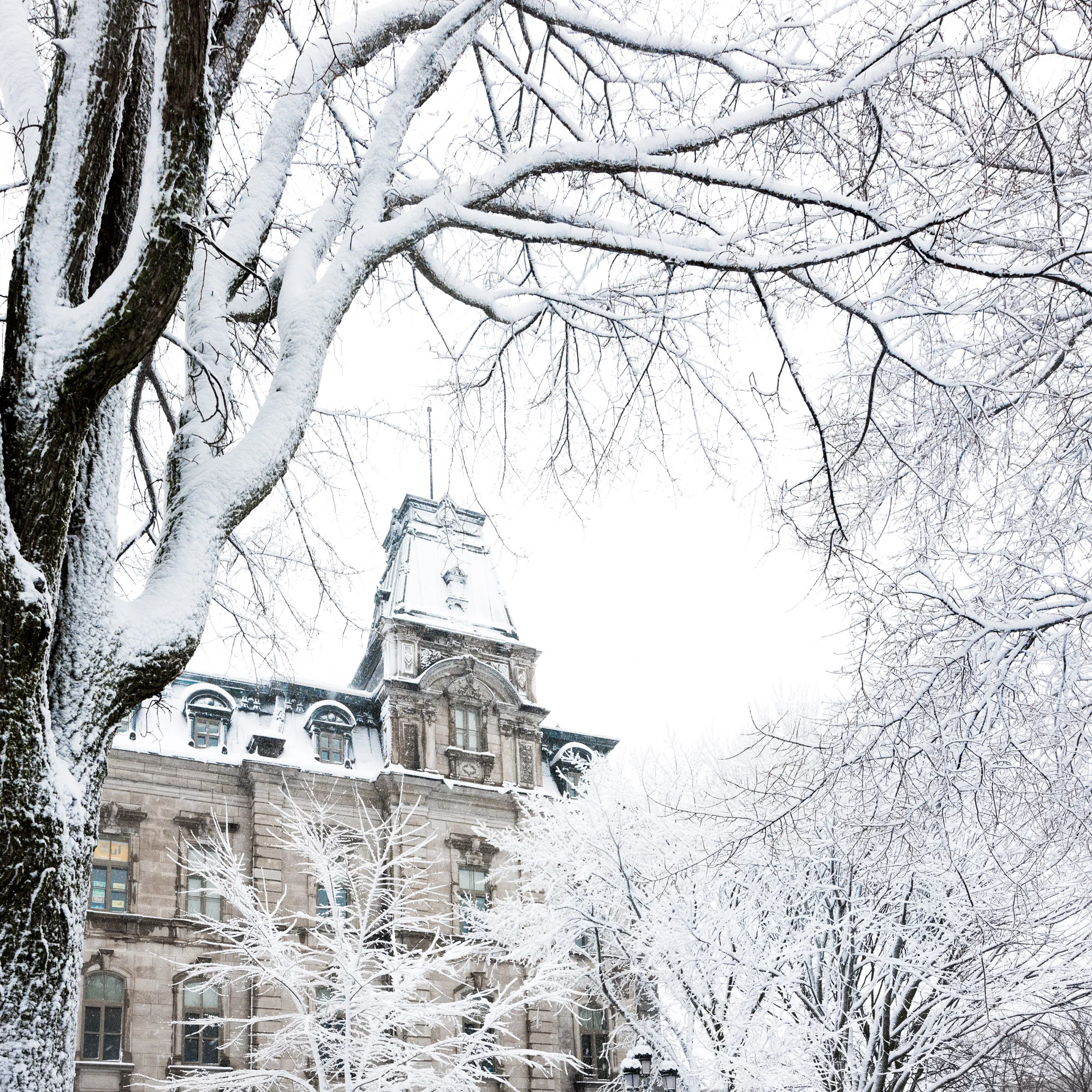 jeff-frenette-quebec-city-winter-5.JPG