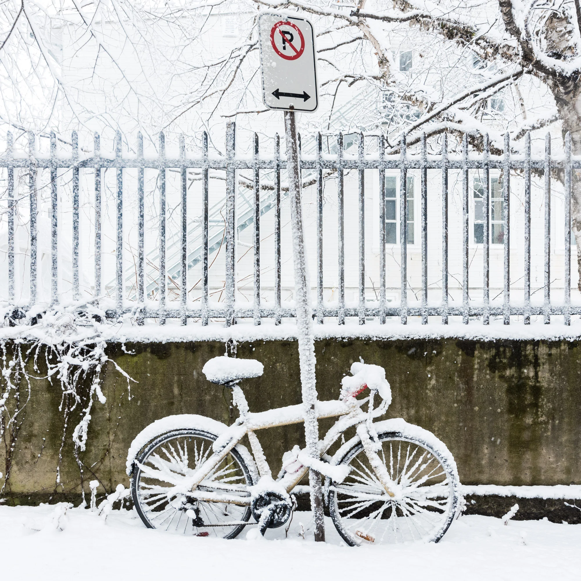 jeff-frenette-quebec-city-winter-8.JPG