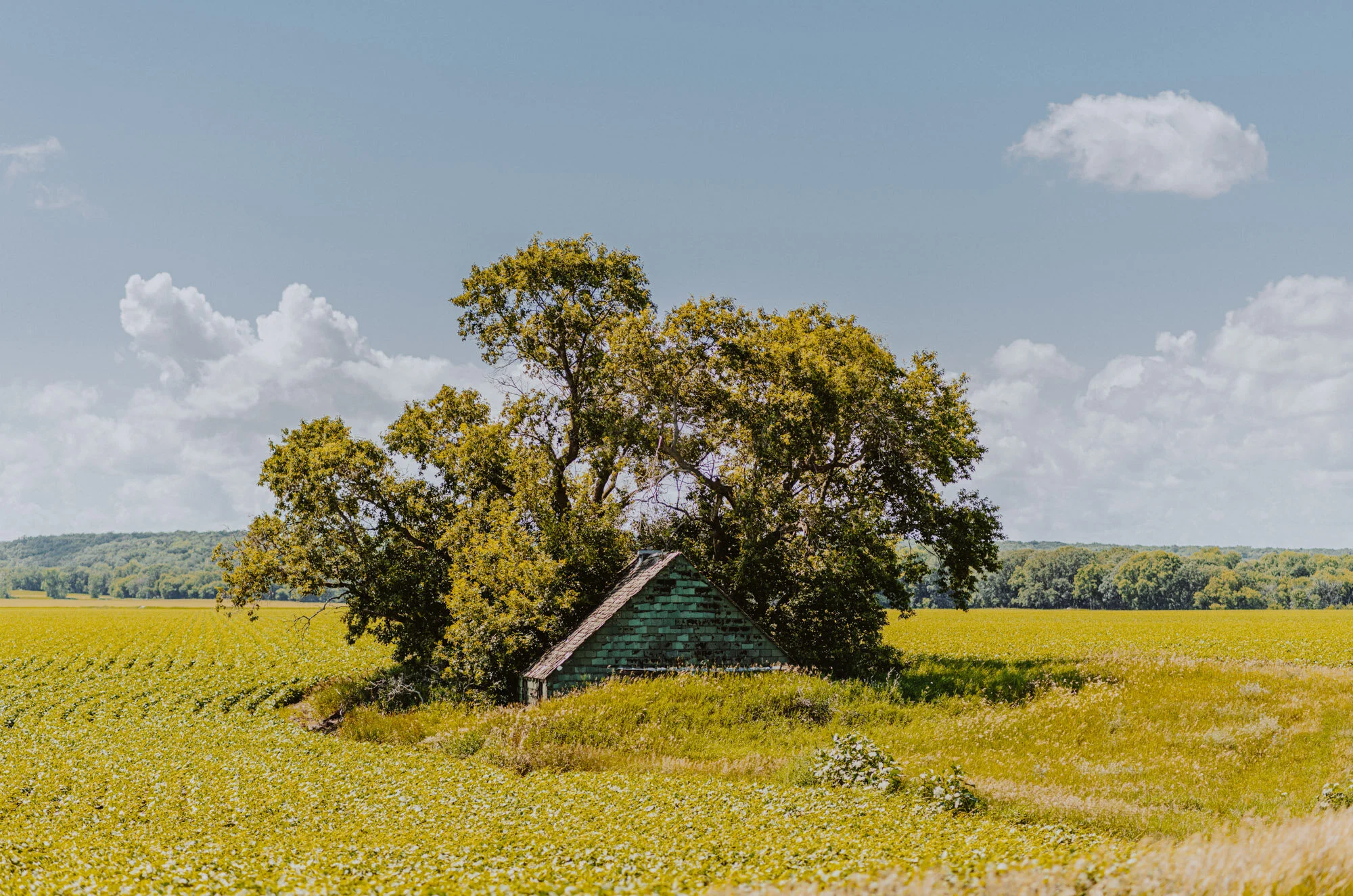 Countryside — Winnipeg — Manitoba — Jeff Frenette Photogra