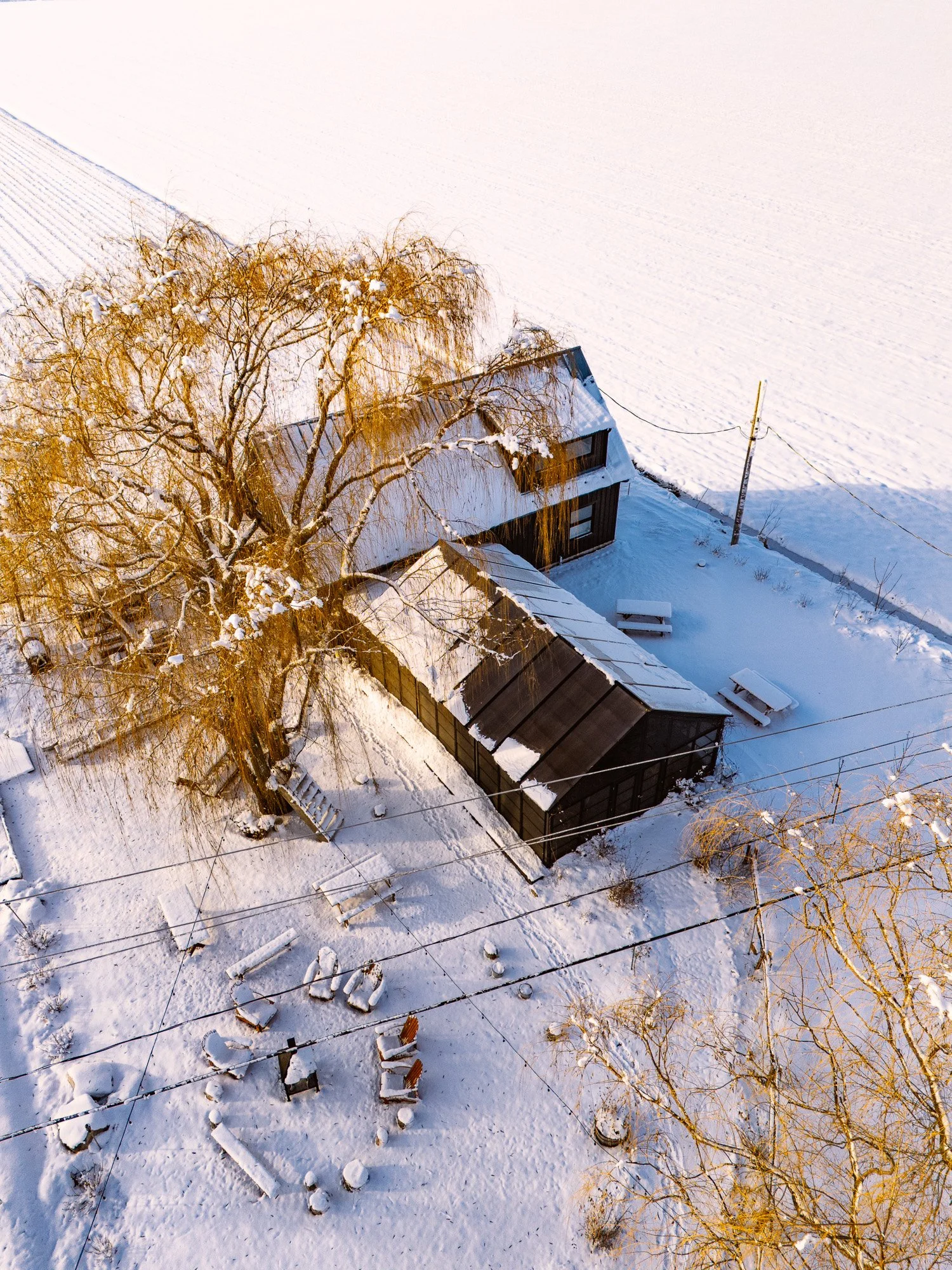 bika-farm-fisun-ercan-jeff-frenette-photography-winter-3.jpg